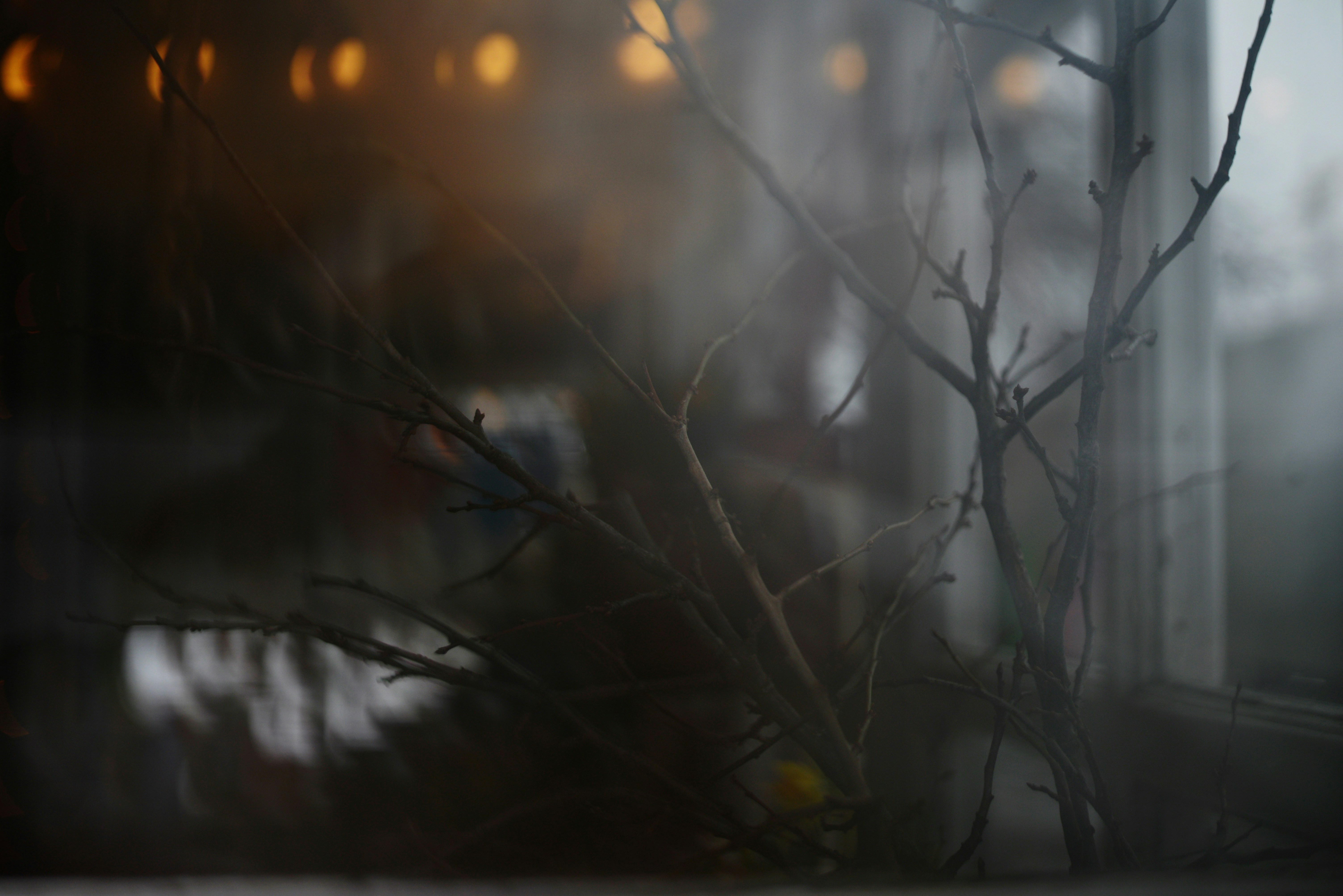 Photo by cherstve_pechivo