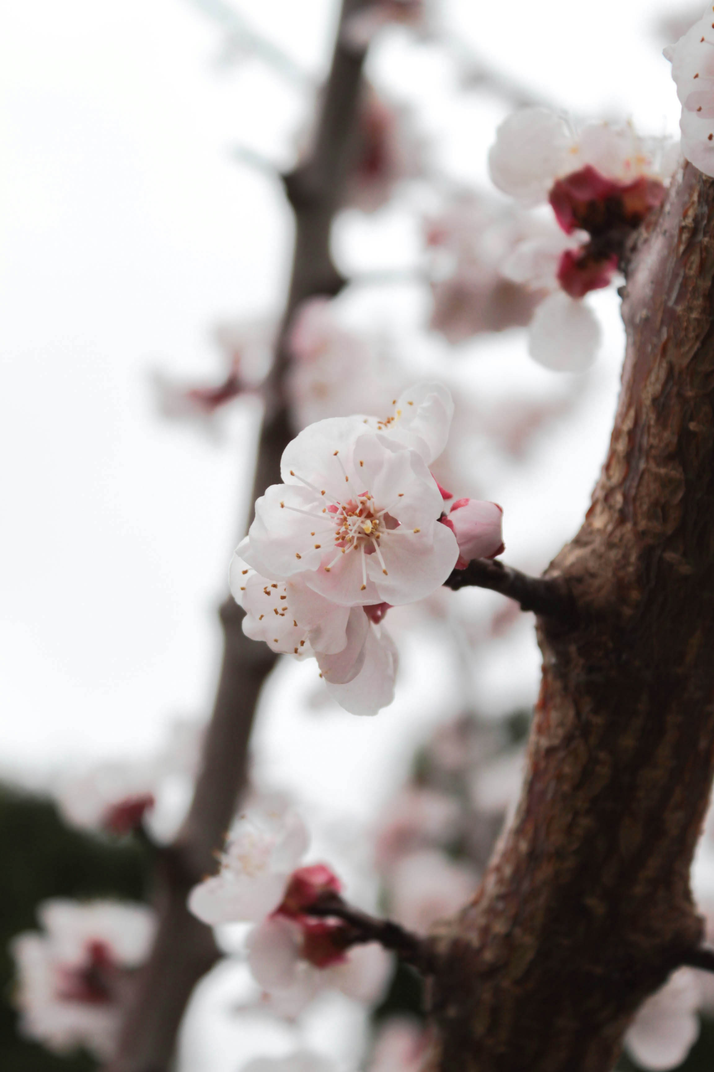 Photo by dmytrodovgan