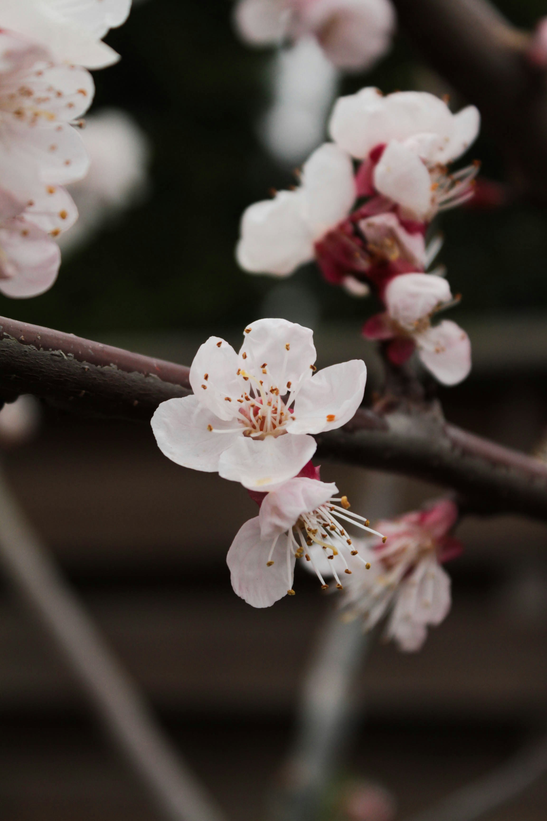 Photo by dmytrodovgan