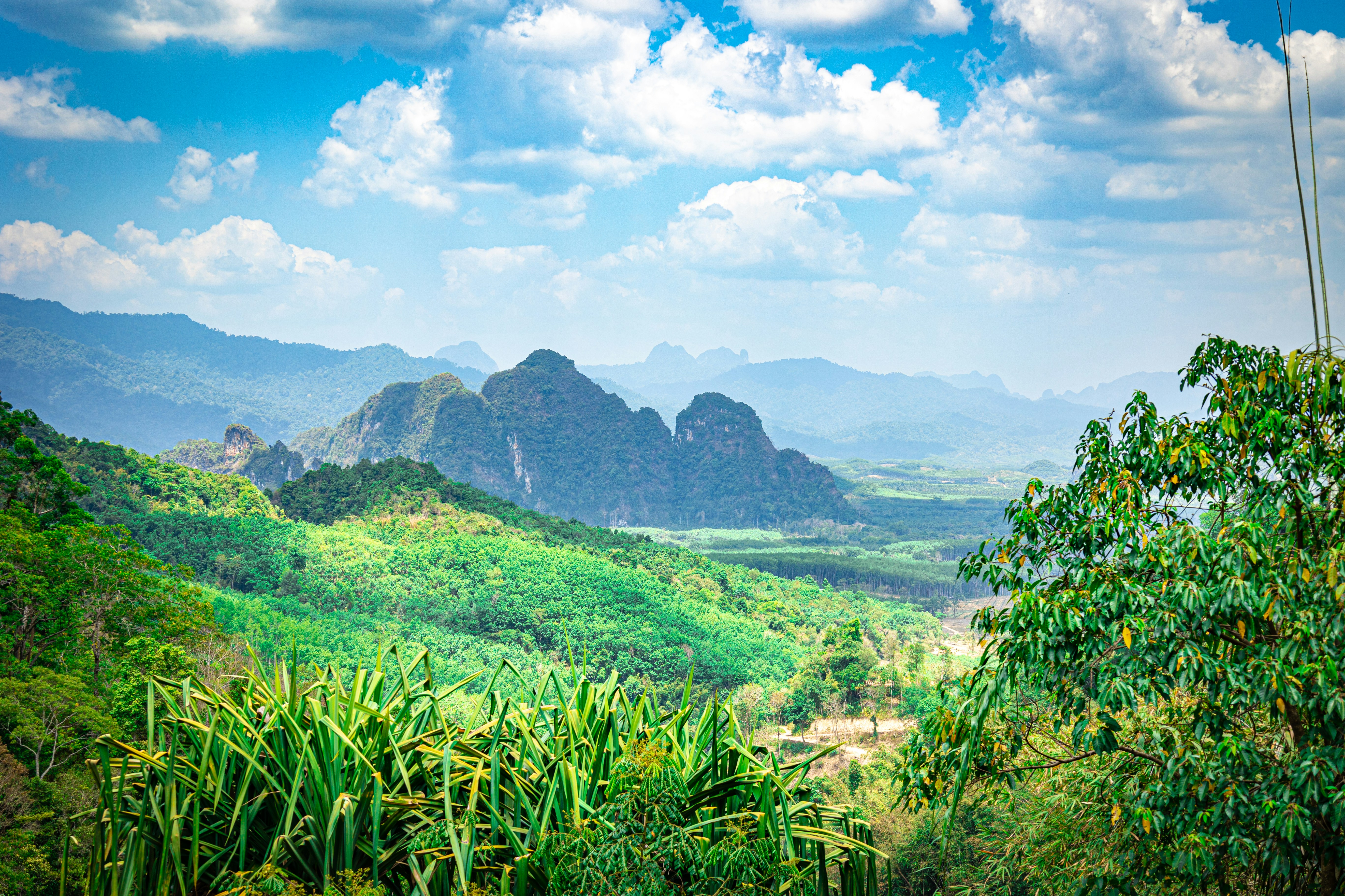 Photo by somewherewithtom