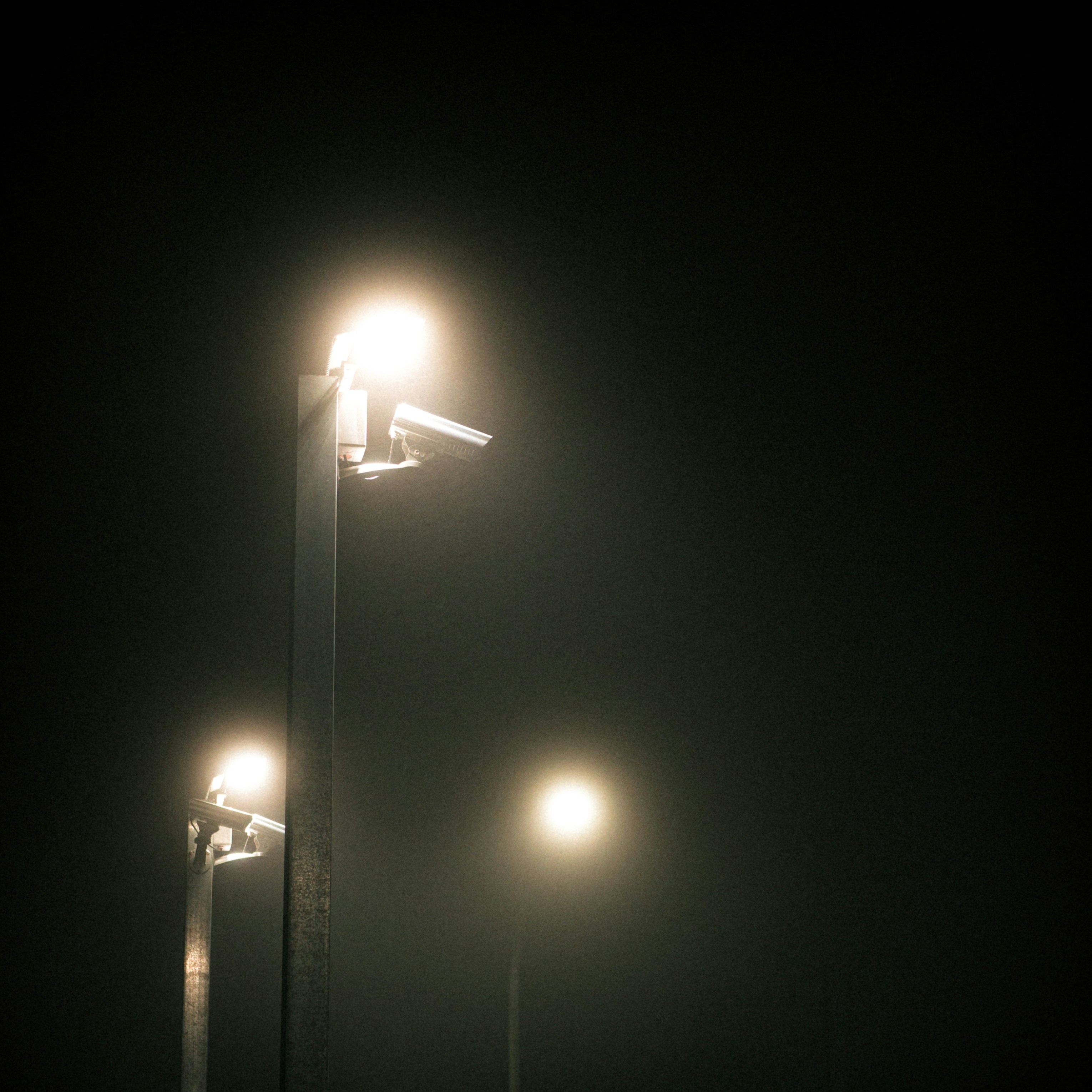 Streetlights glowing in the dark night.