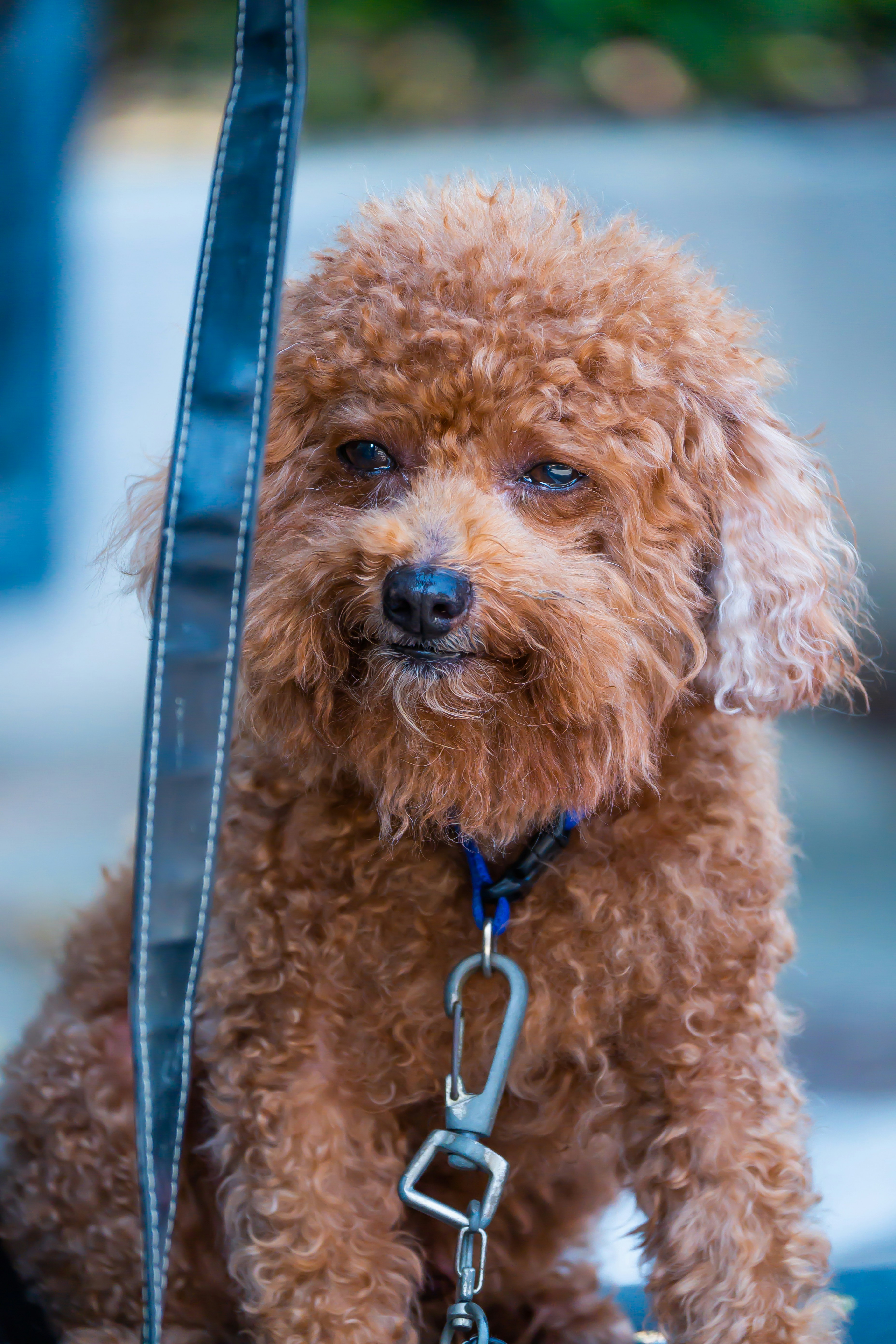 Photo by bobohuang_92