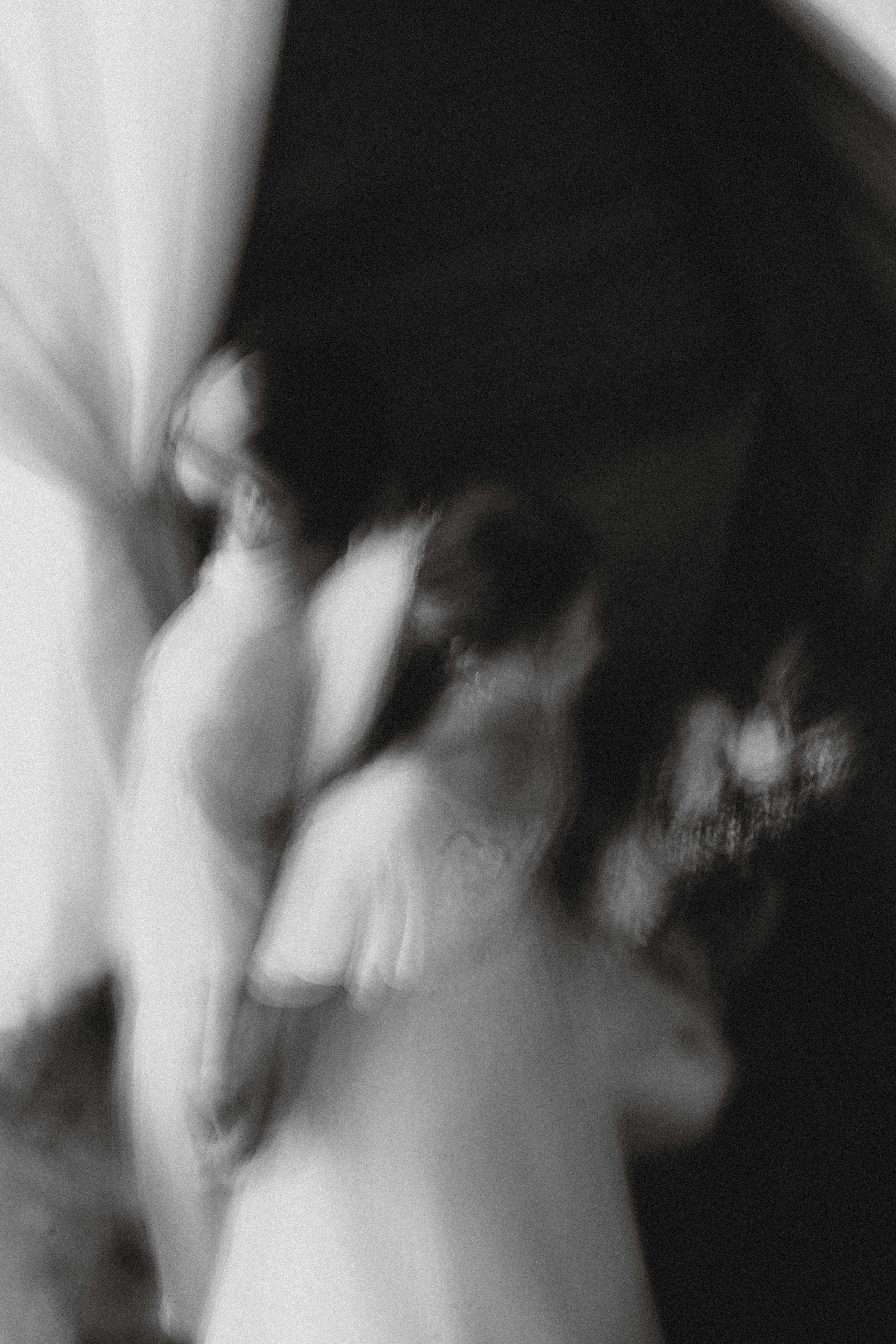 Photo by rafasanfilippo