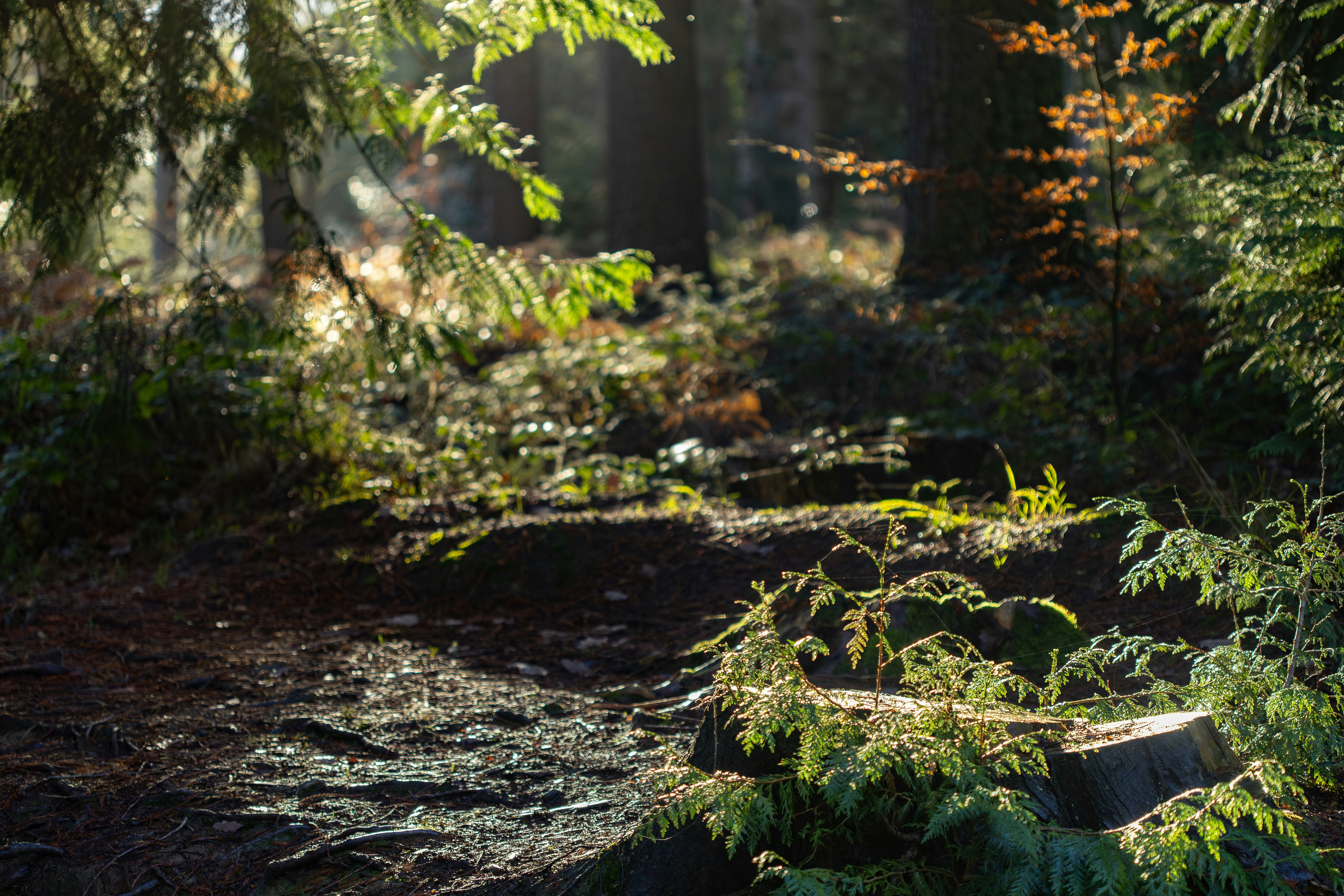 Photo by danielsturleyphotography