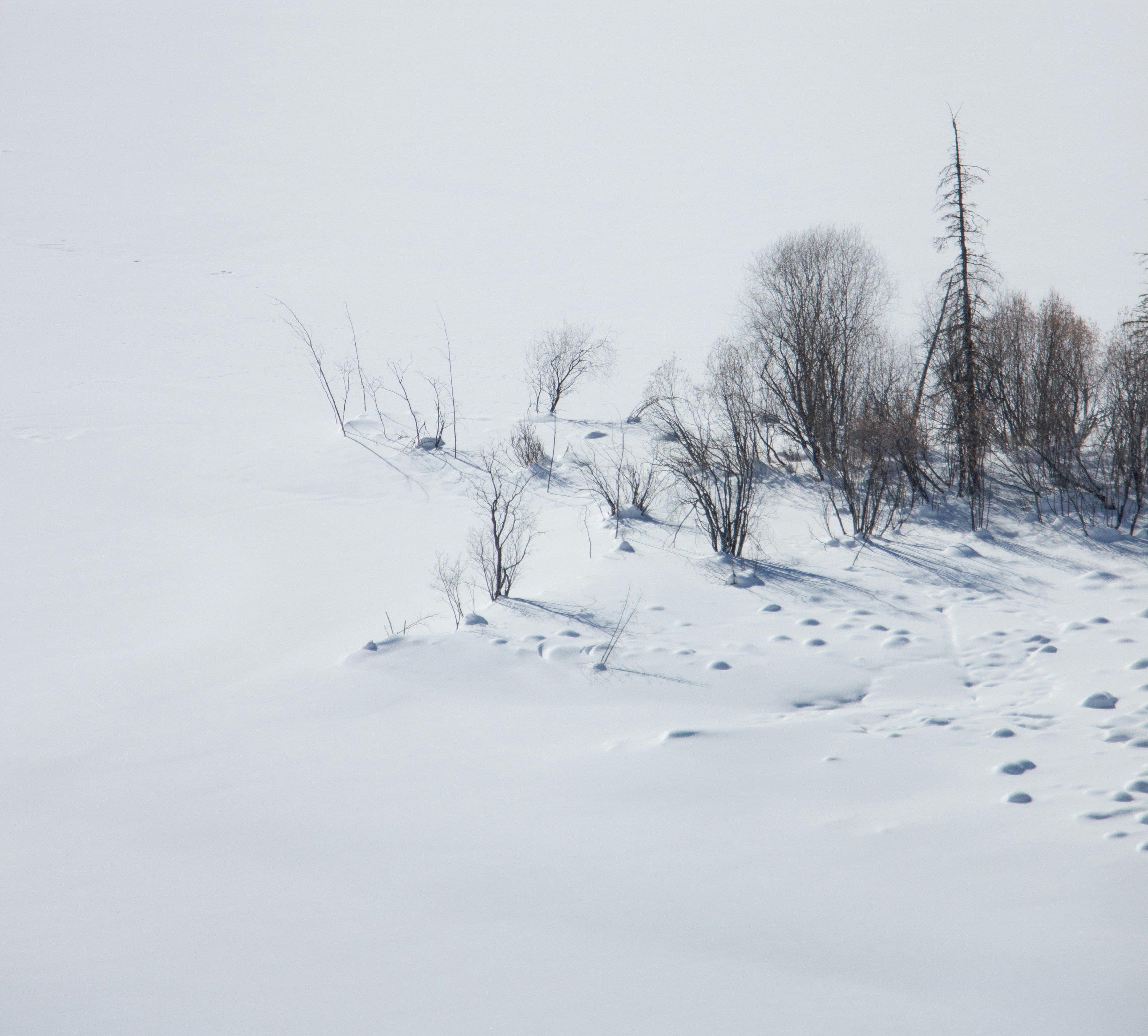 Photo by maro_of_sengu