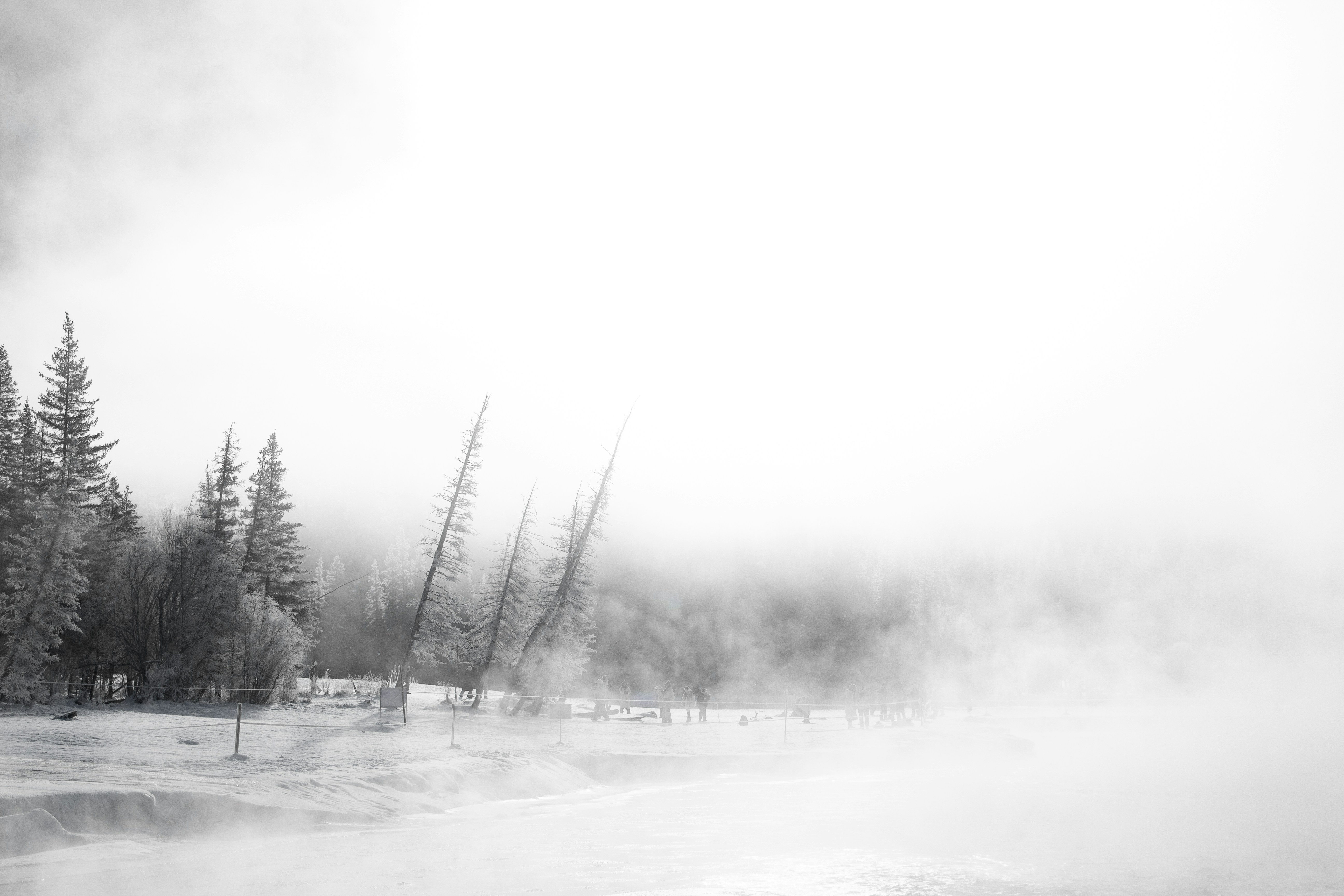 Photo by maro_of_sengu