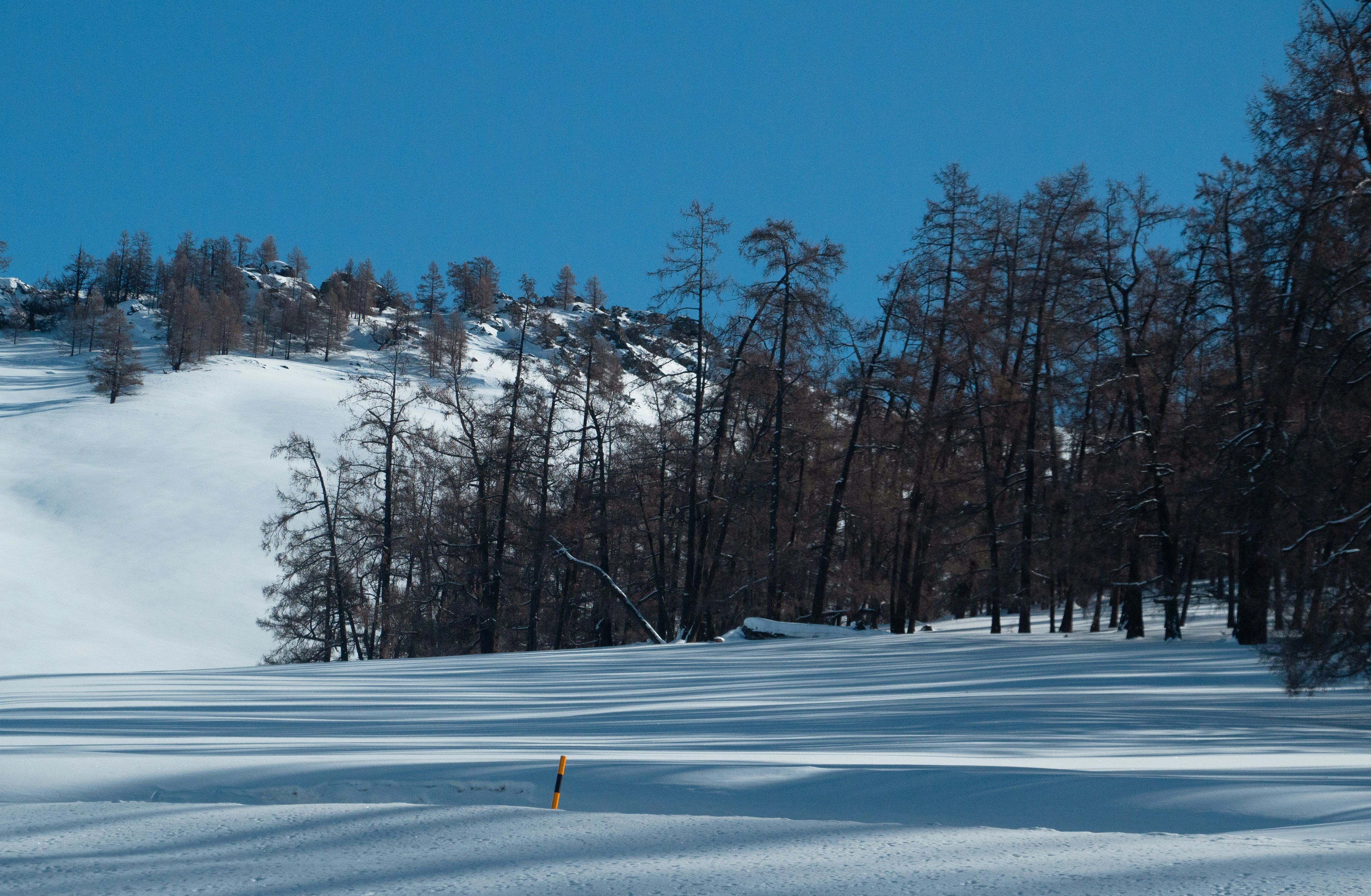 Photo by maro_of_sengu