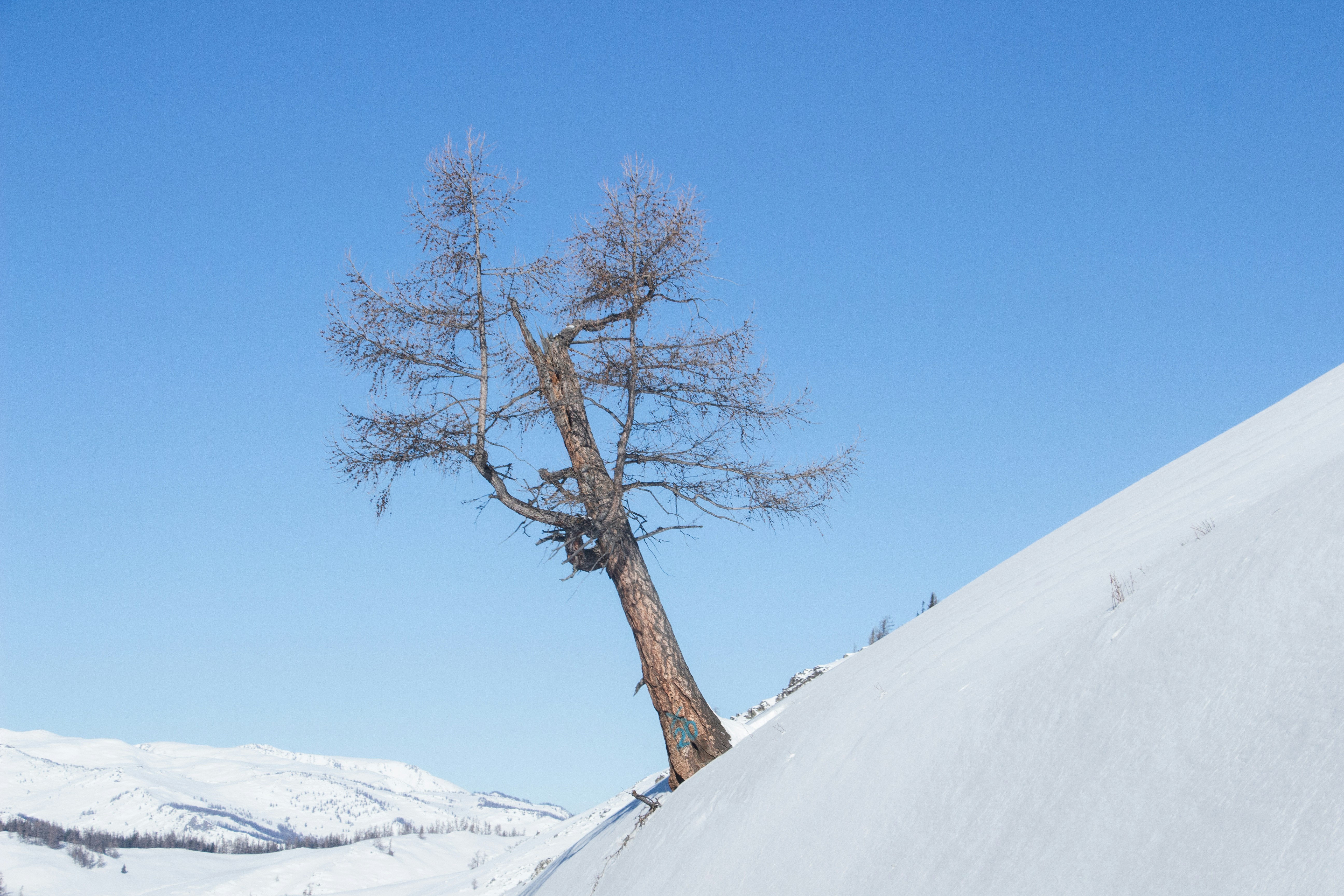 Photo by maro_of_sengu