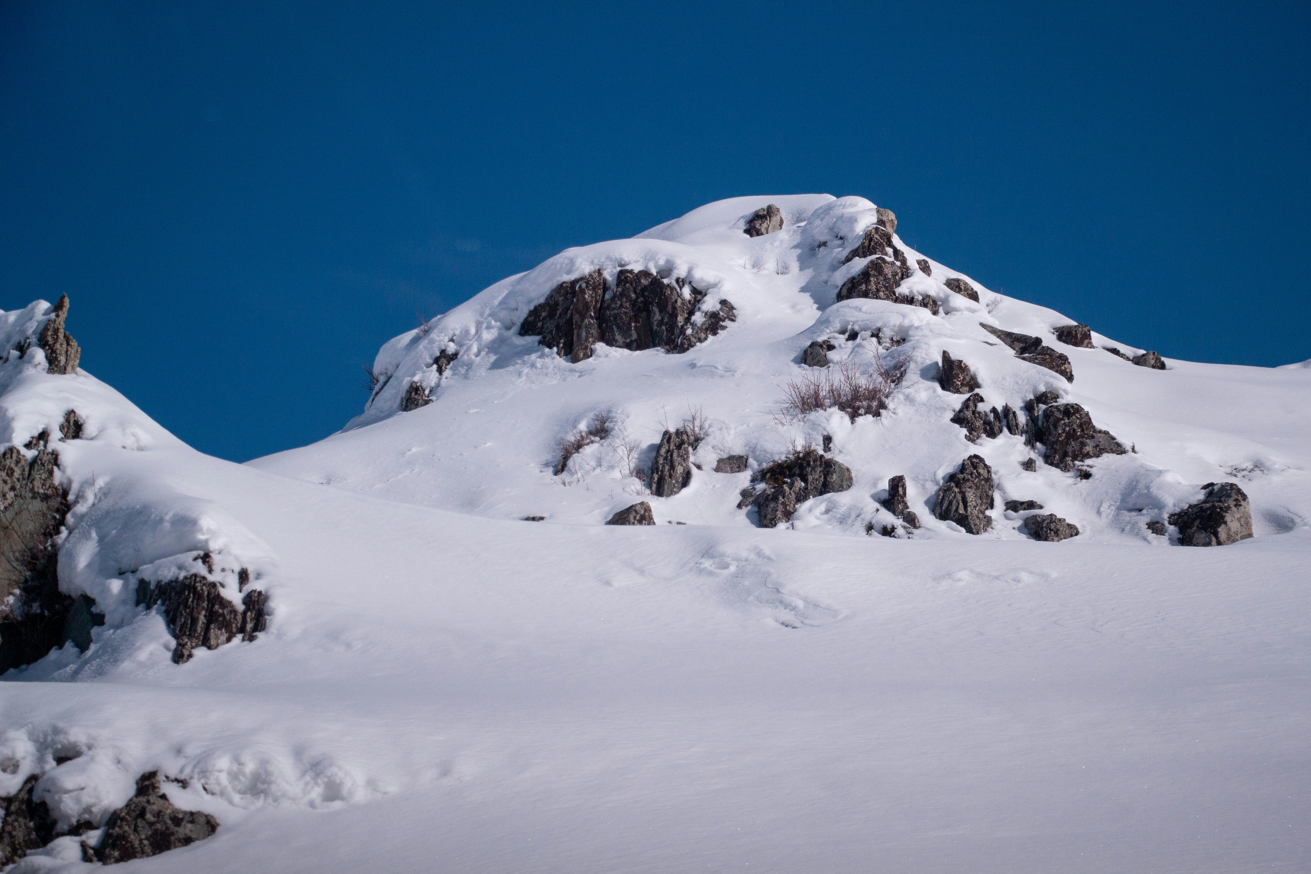 Photo by maro_of_sengu