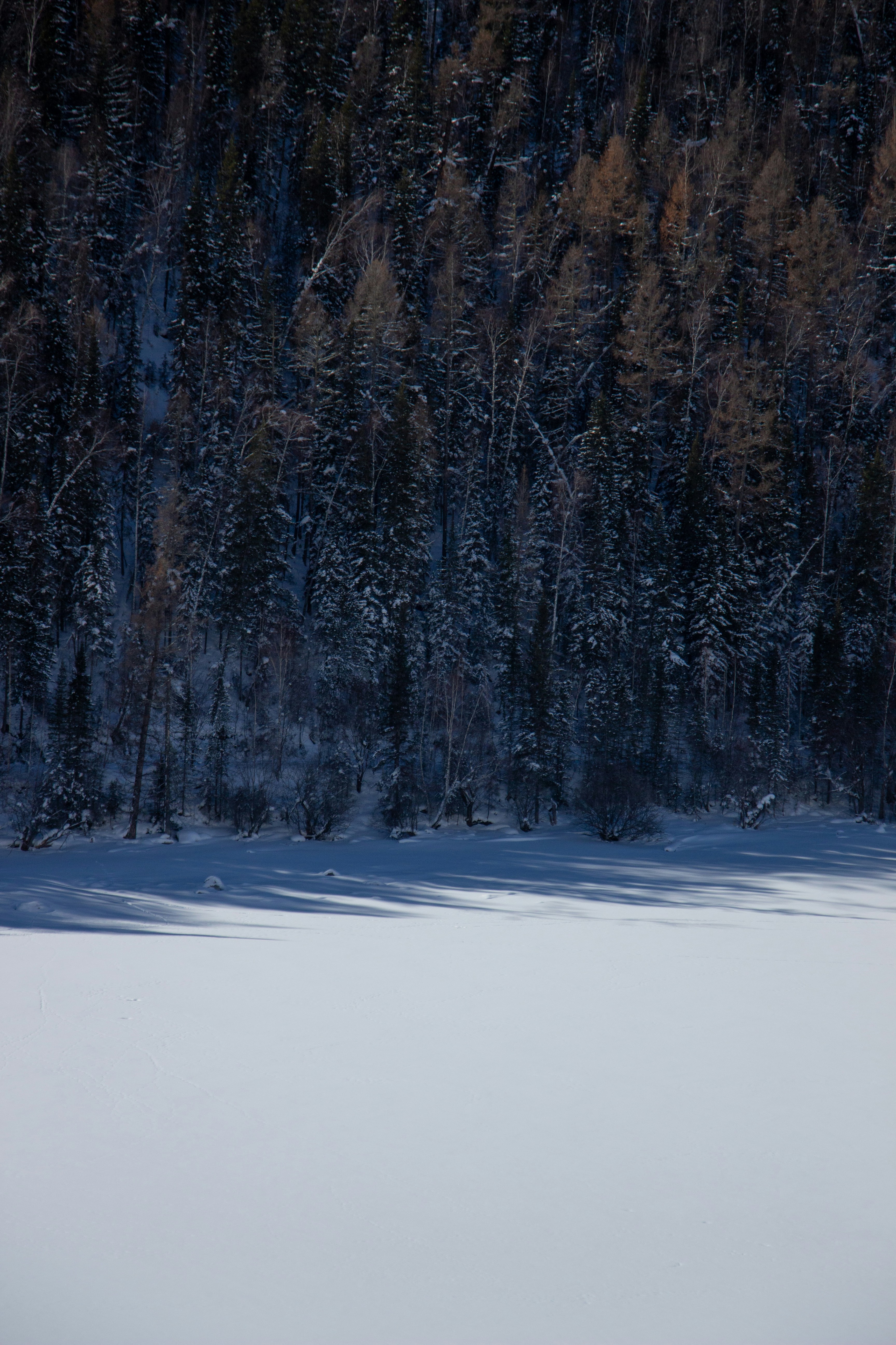 Photo by maro_of_sengu