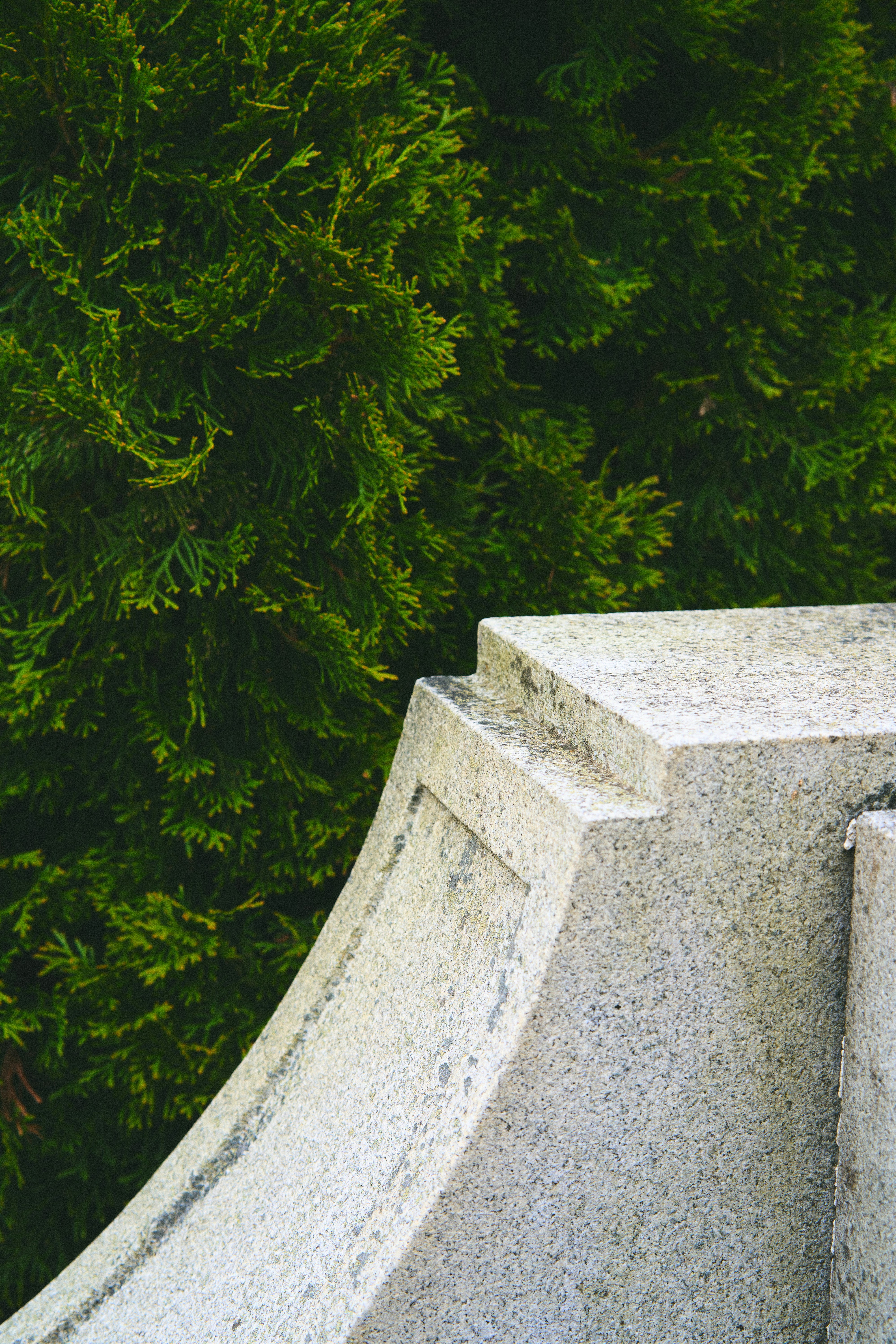 Photo by landonstefanski