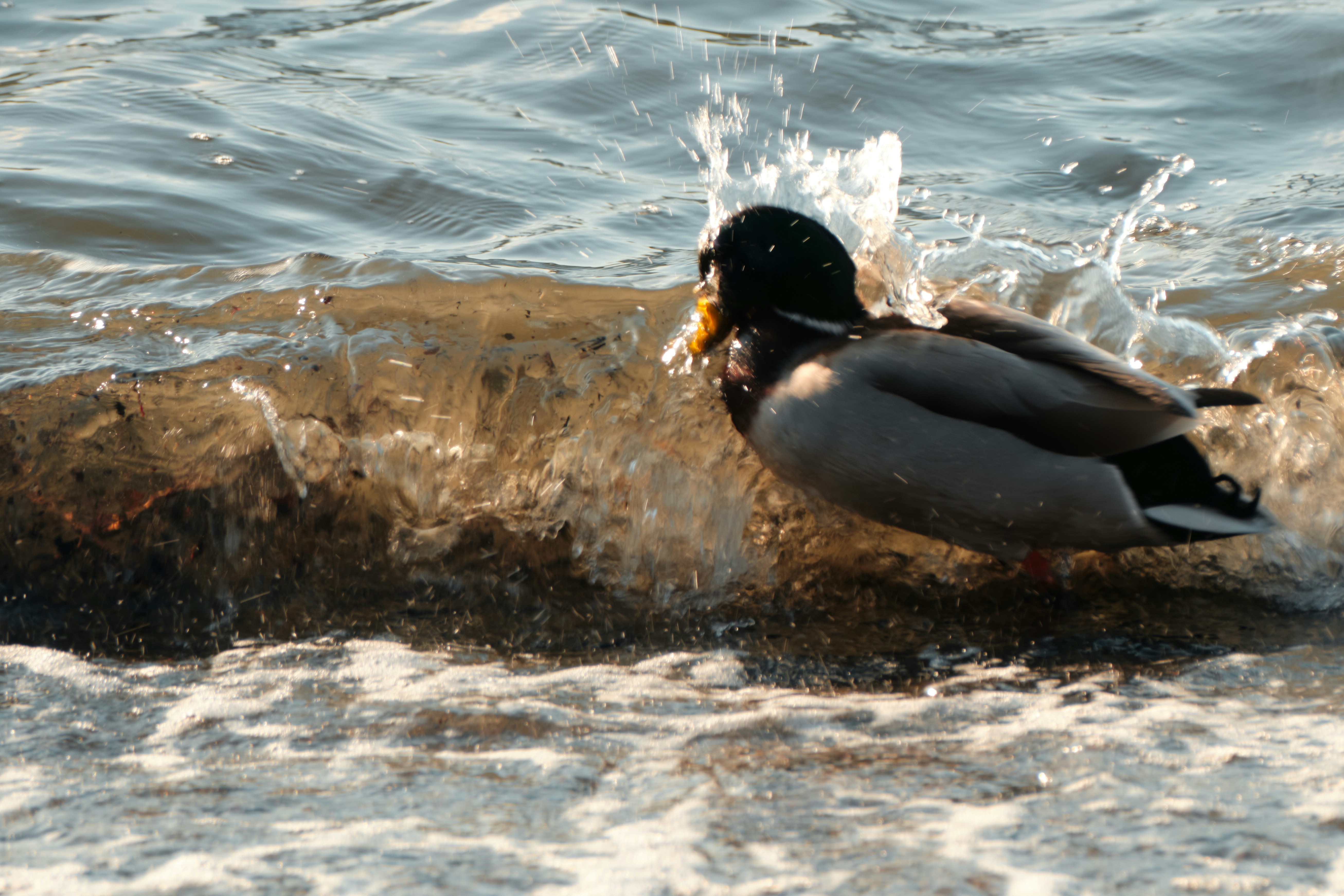 Photo by streit0liver