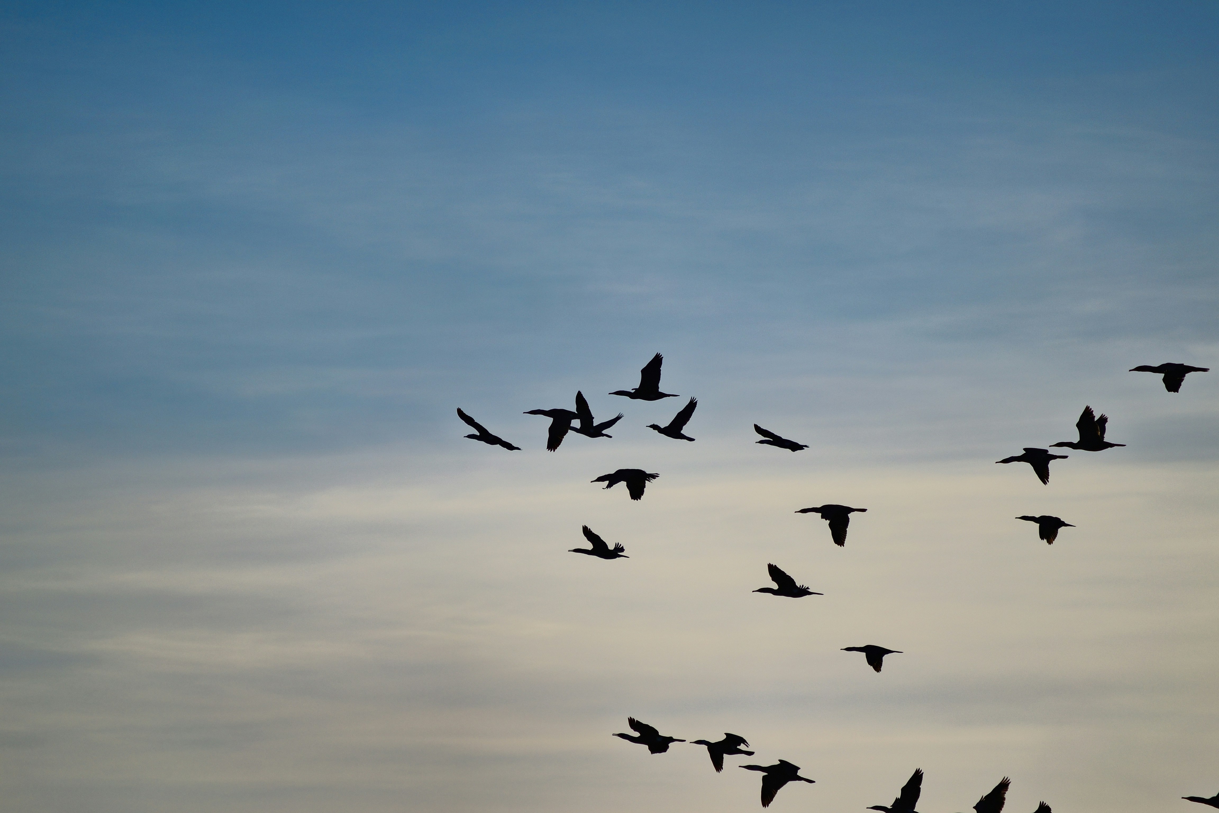 Photo by pborodenkov