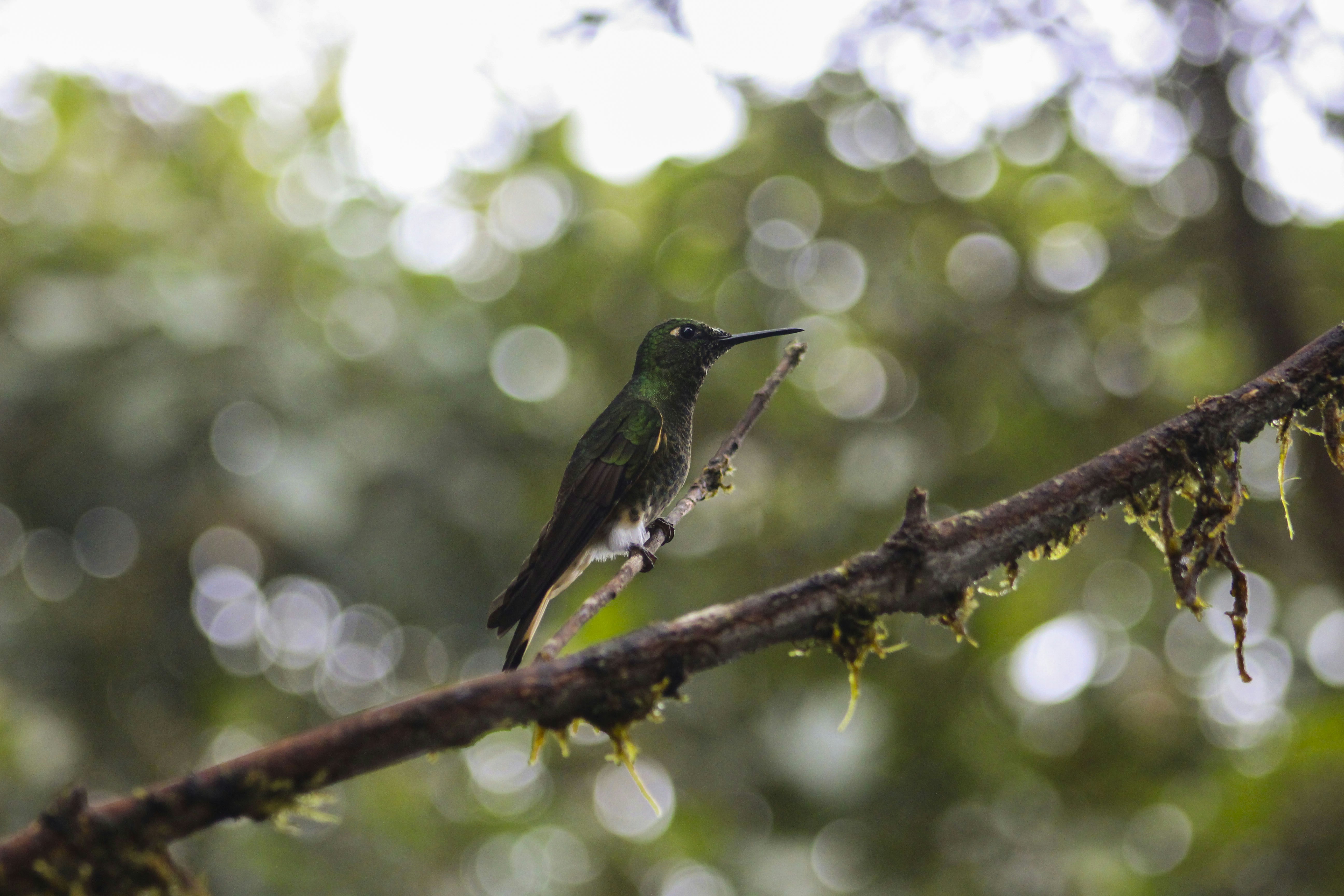 Photo by candesjaramillo