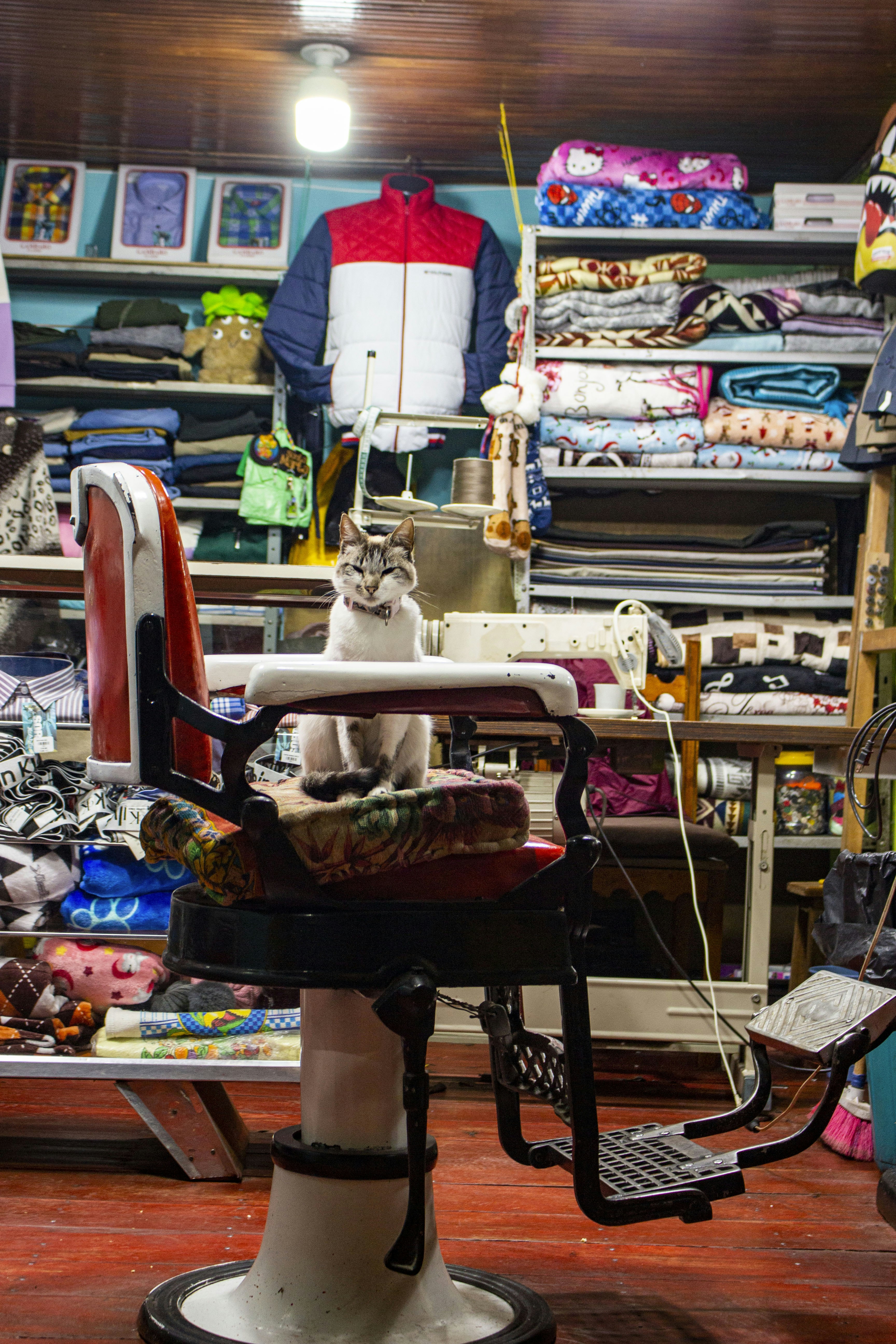 Photo by candesjaramillo