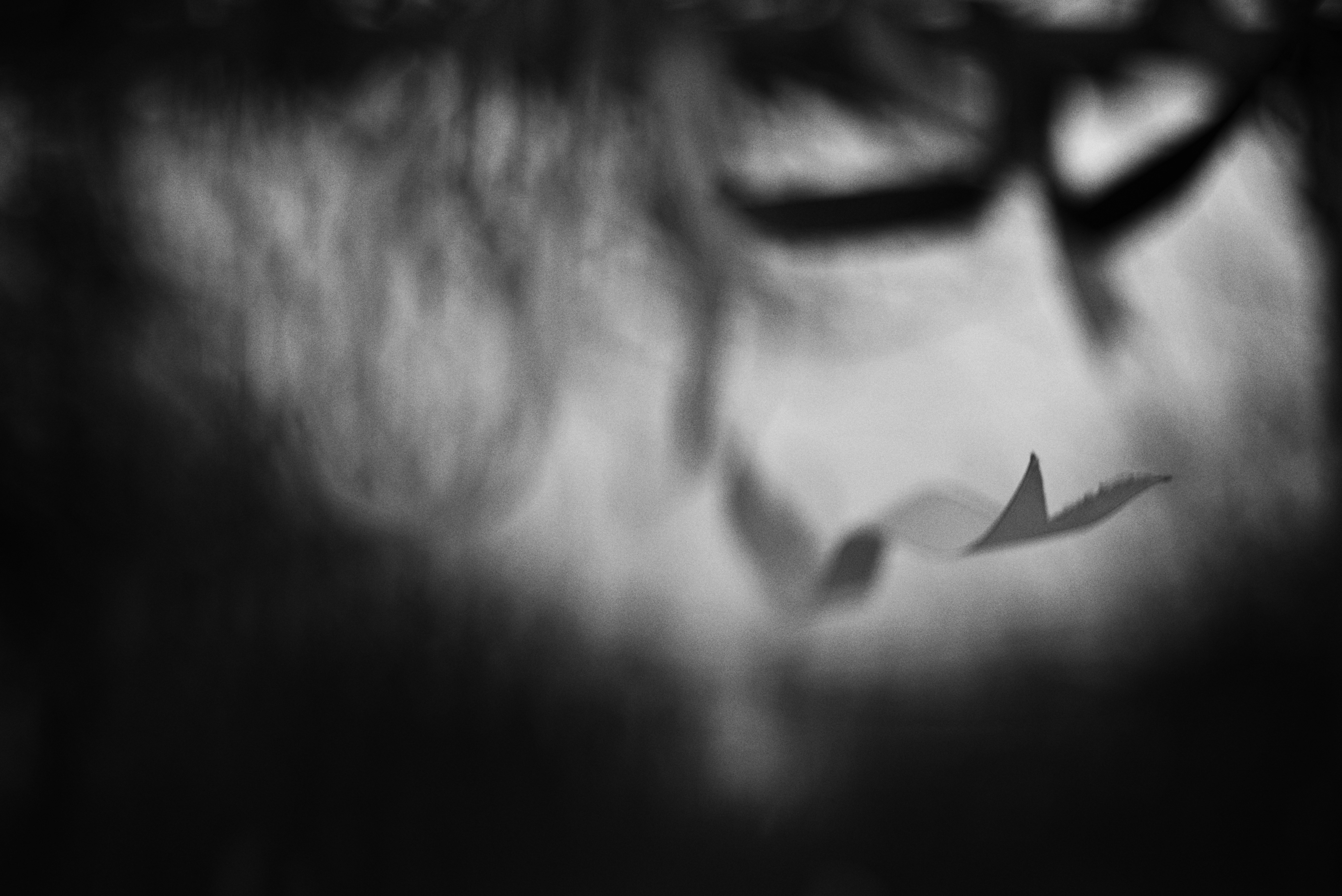 Photo by cherstve_pechivo