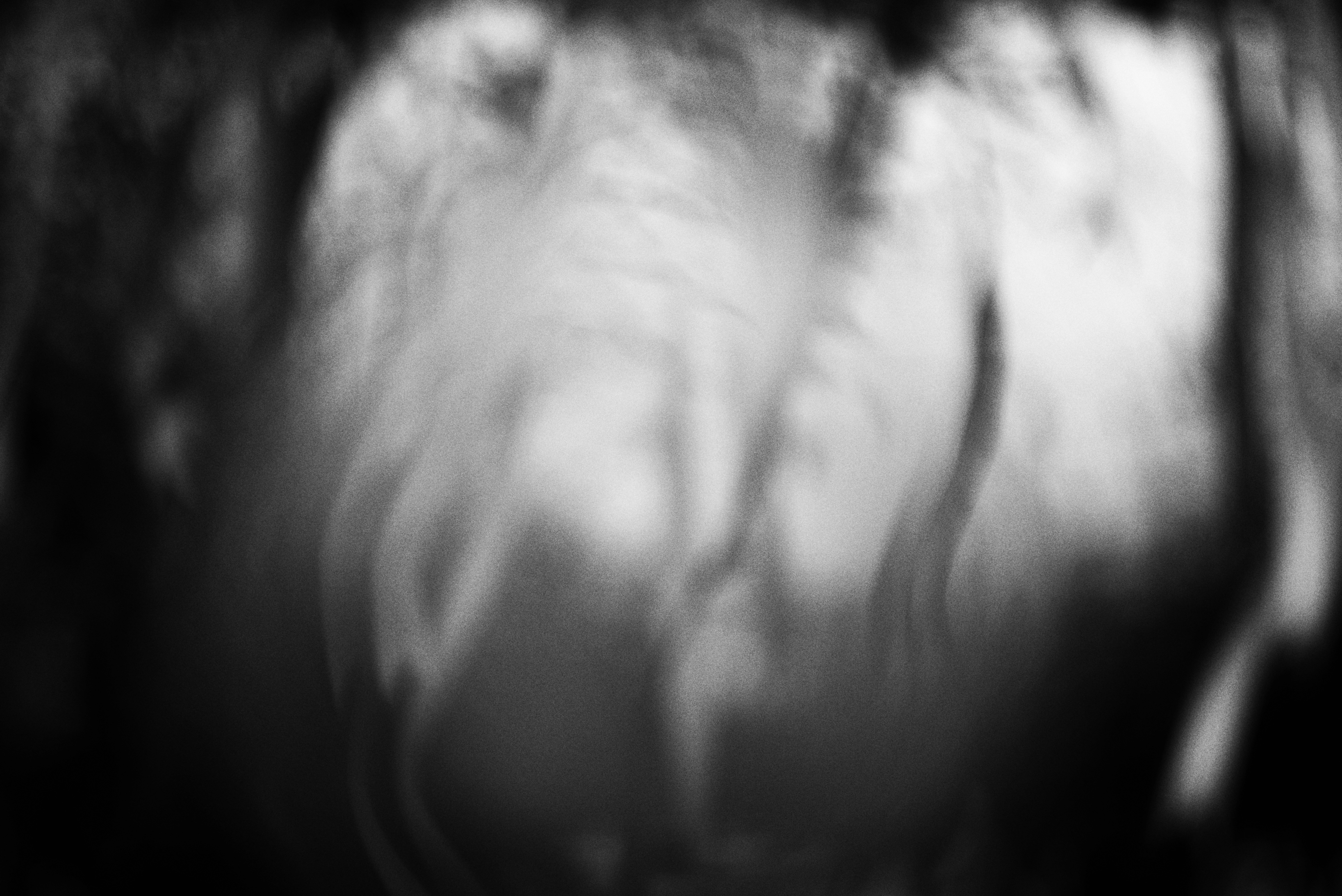 Photo by cherstve_pechivo