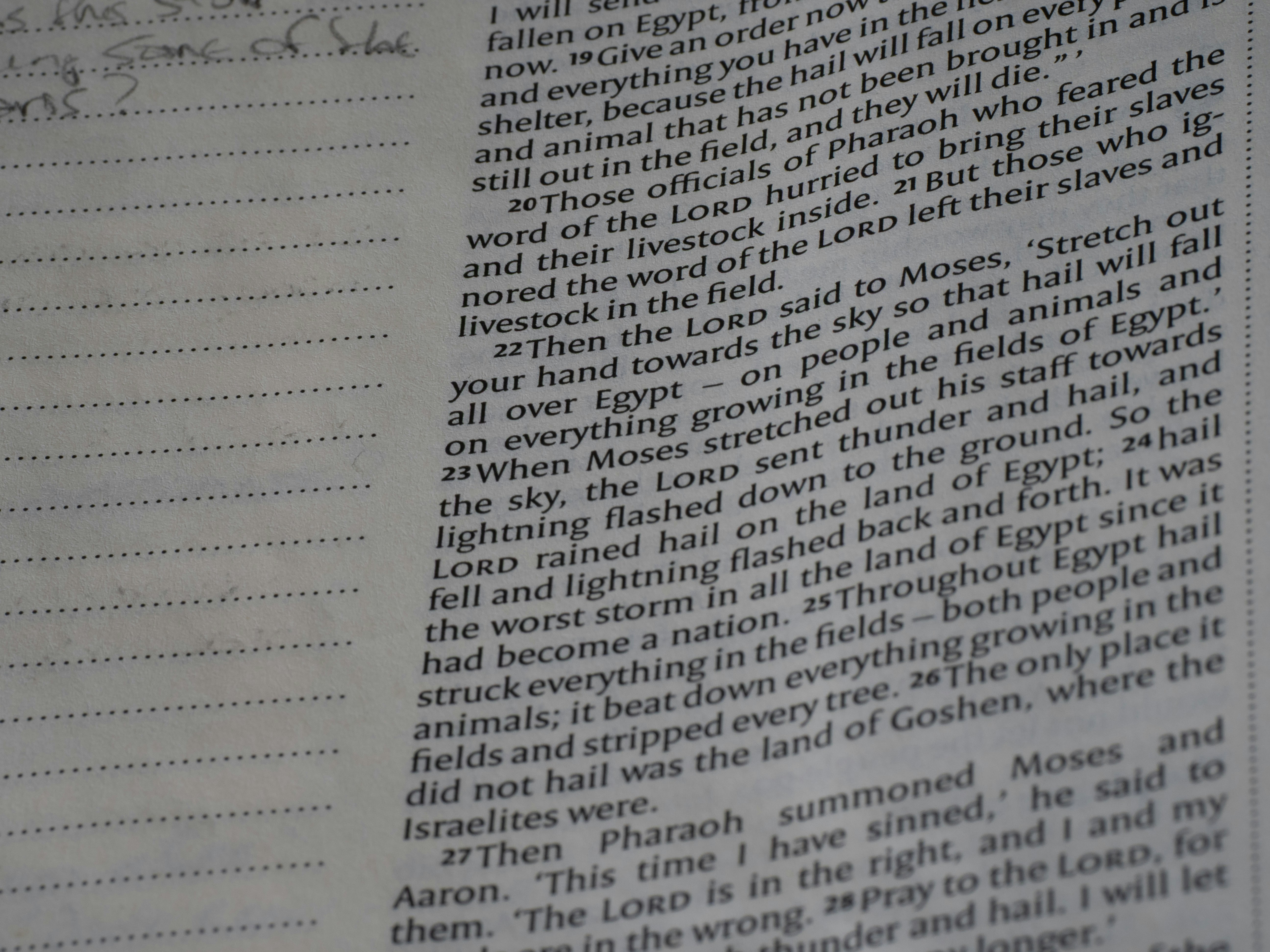 Close-up of text in a book