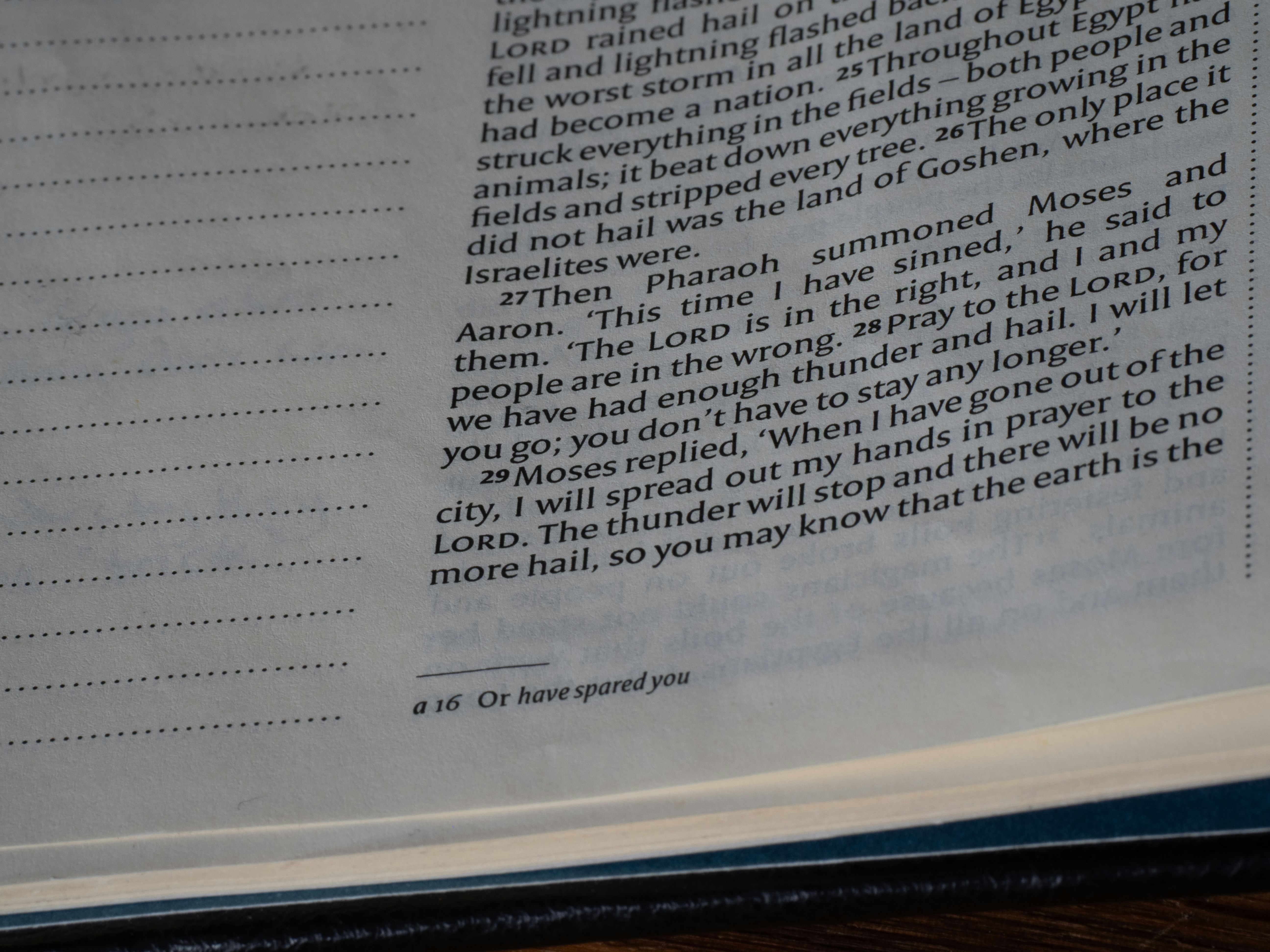 Photo by brett_jordan