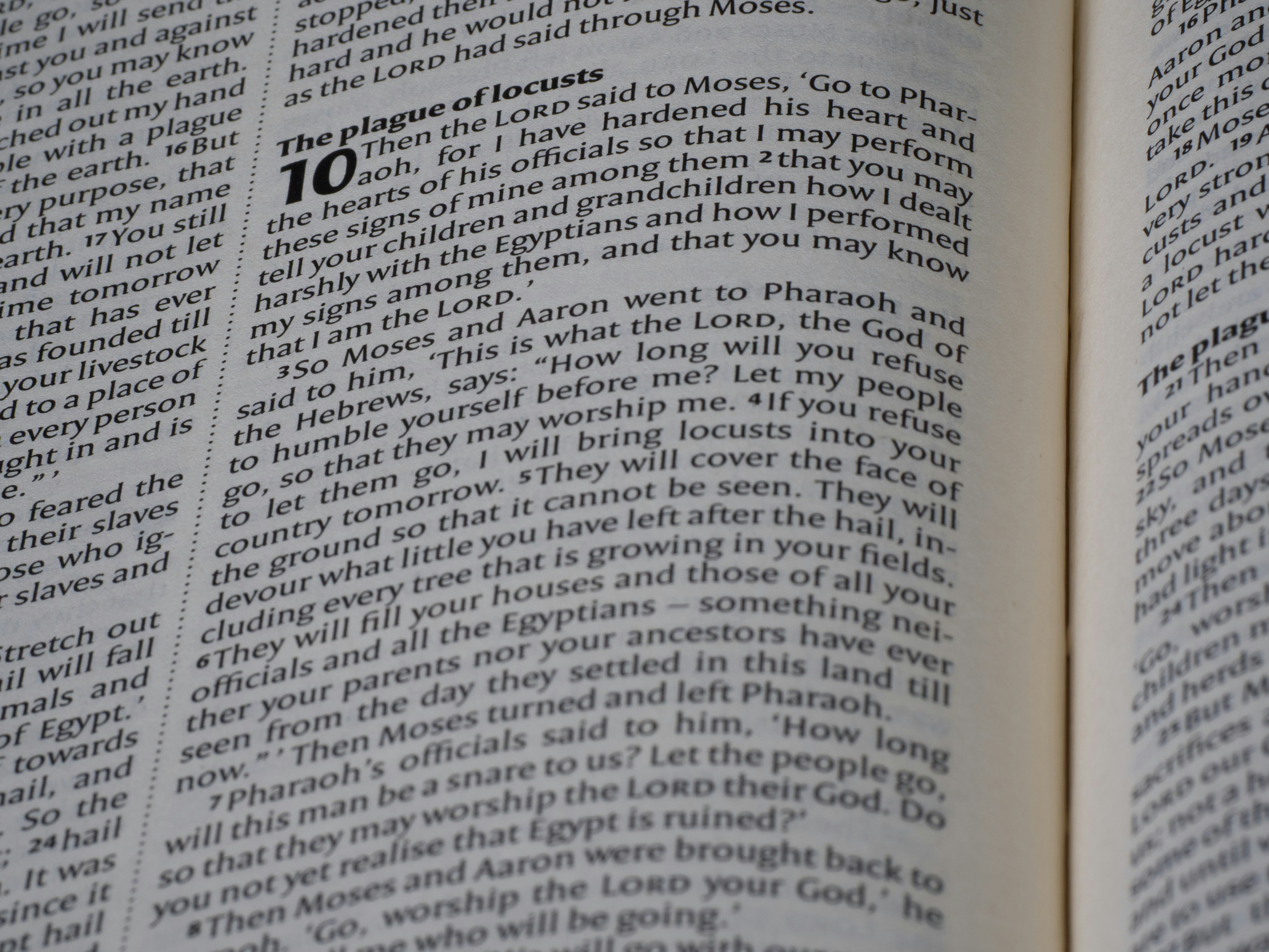 Close up of an open bible with text visible.