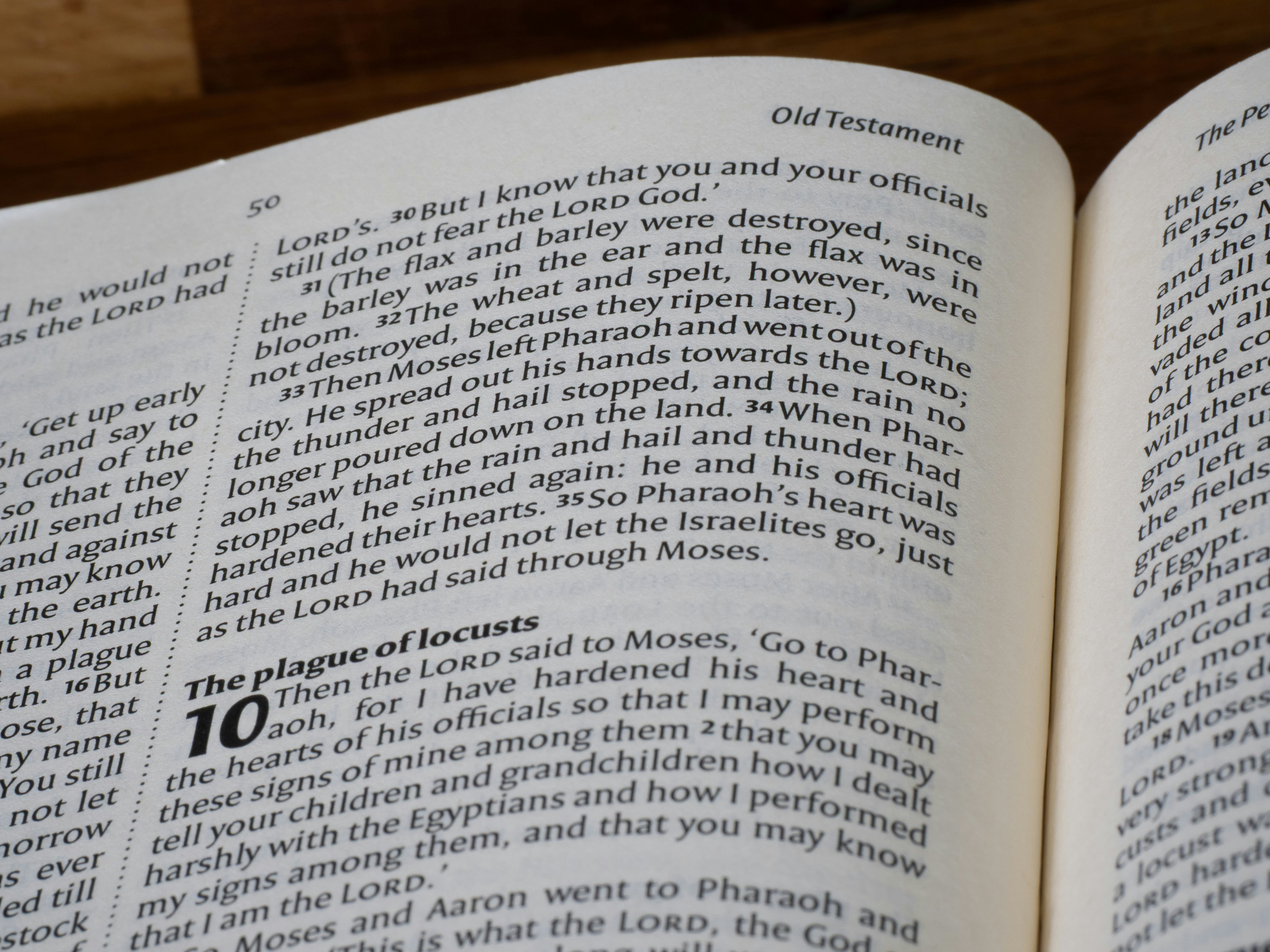 Close-up of an open book with text.