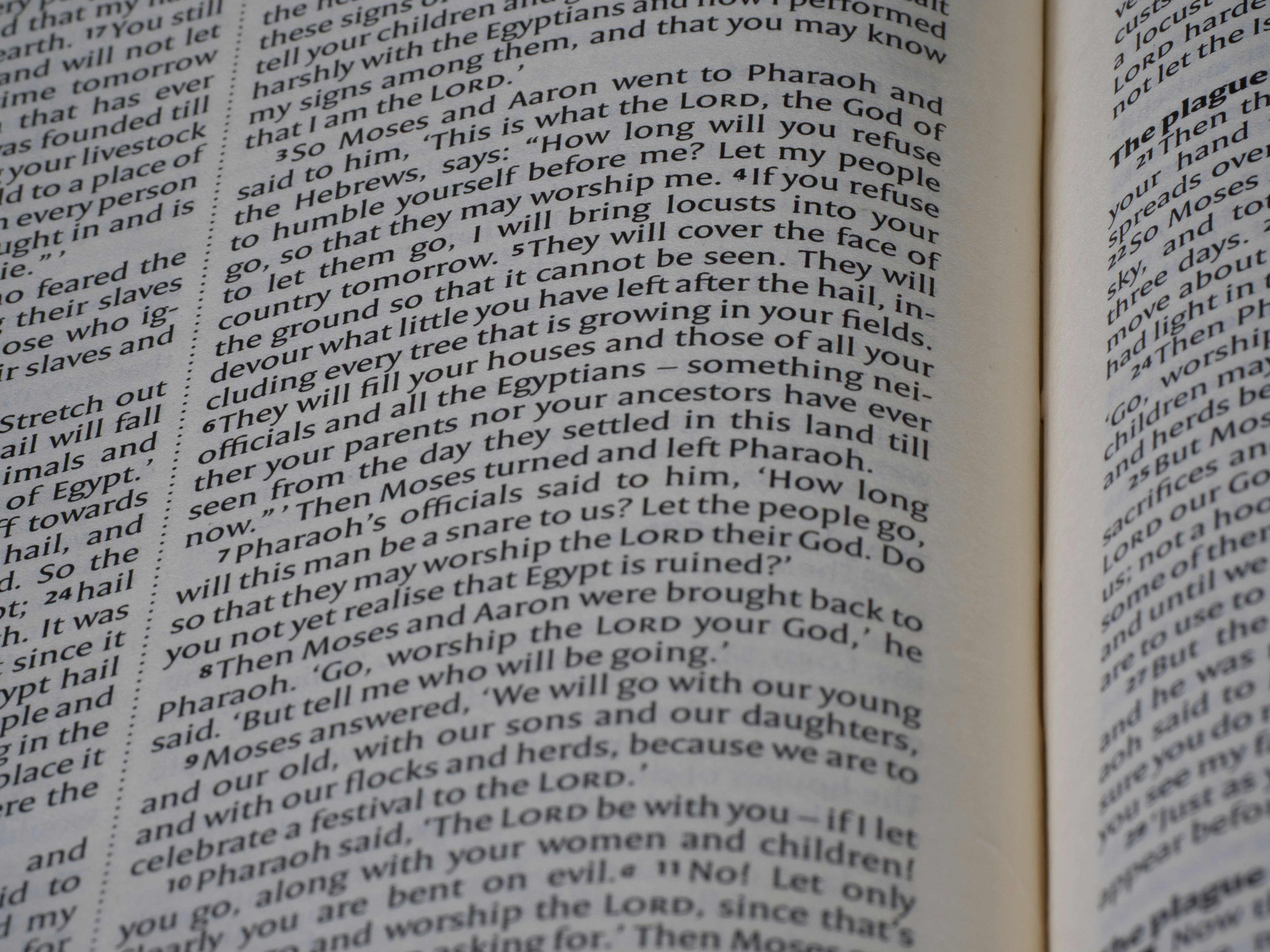 Close-up of open book with text on pages