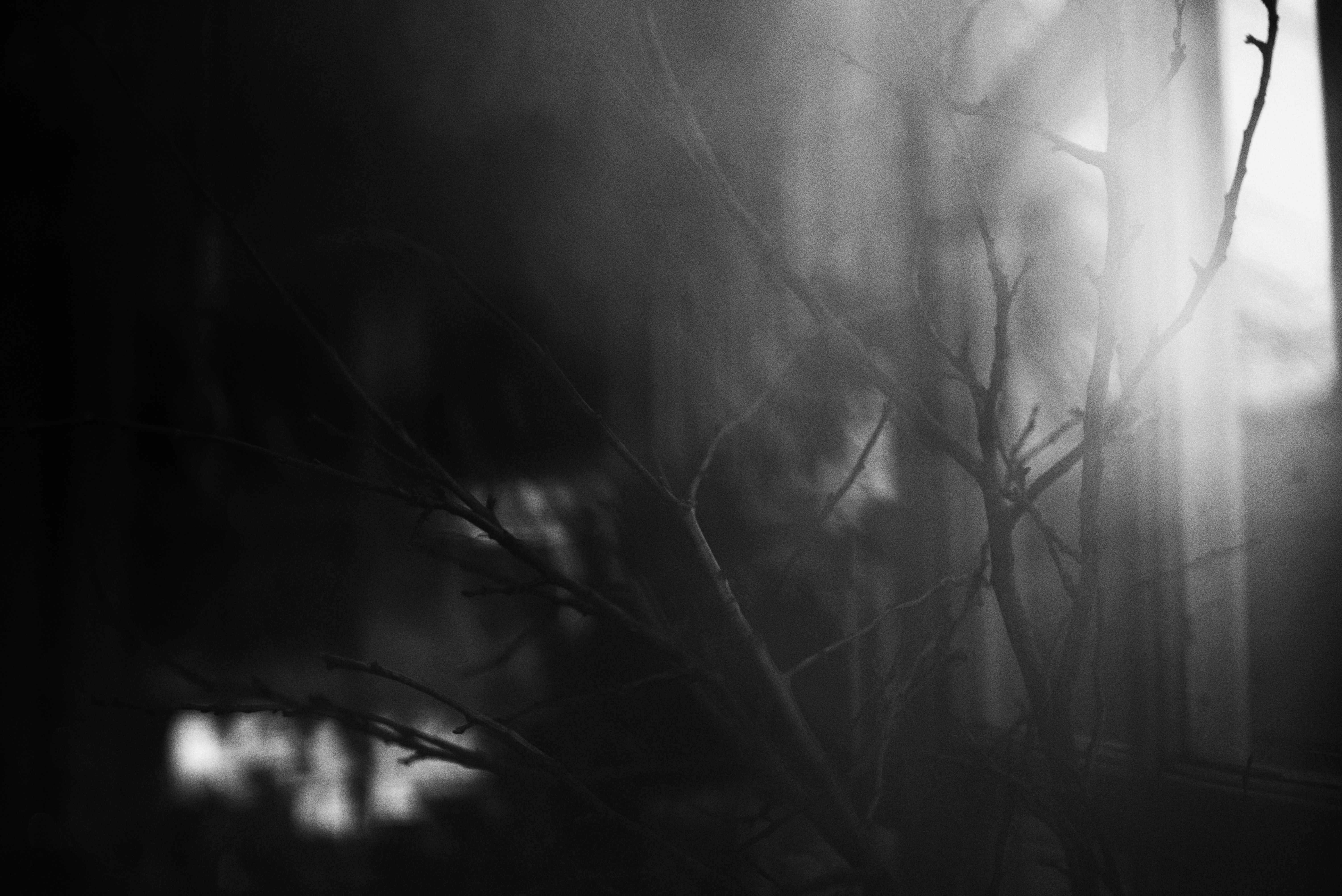 Photo by cherstve_pechivo