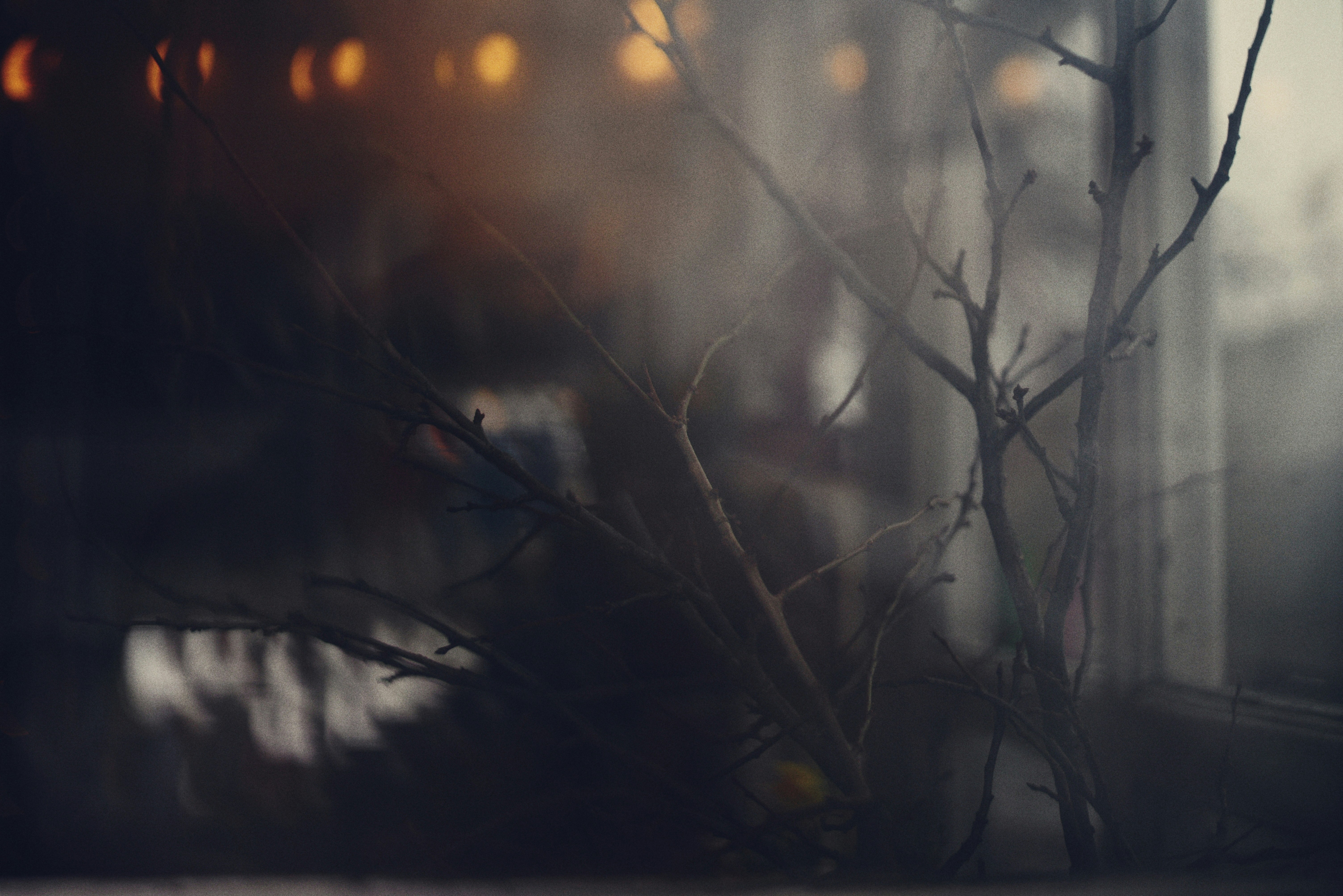 Photo by cherstve_pechivo