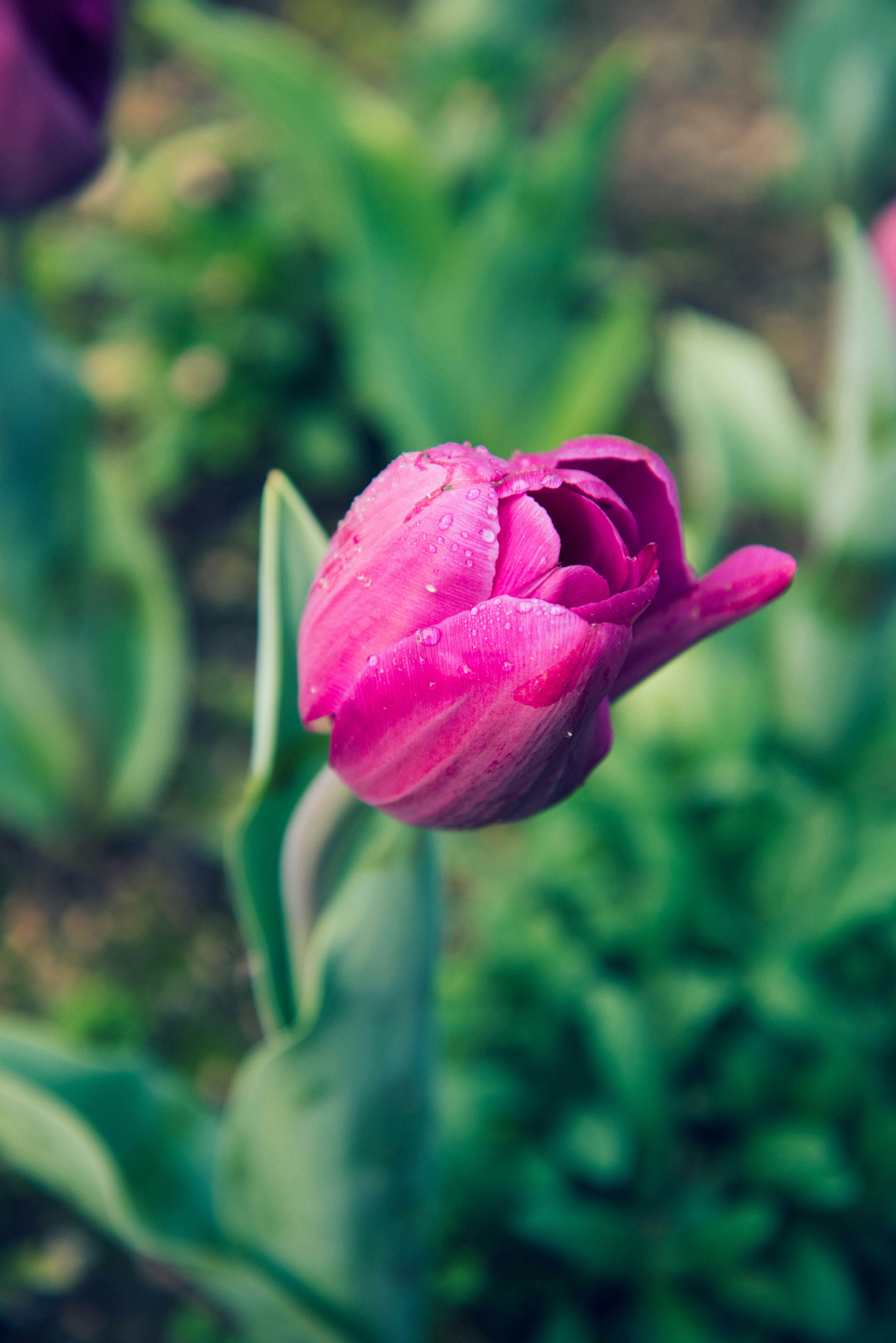 Photo by mary_schultz