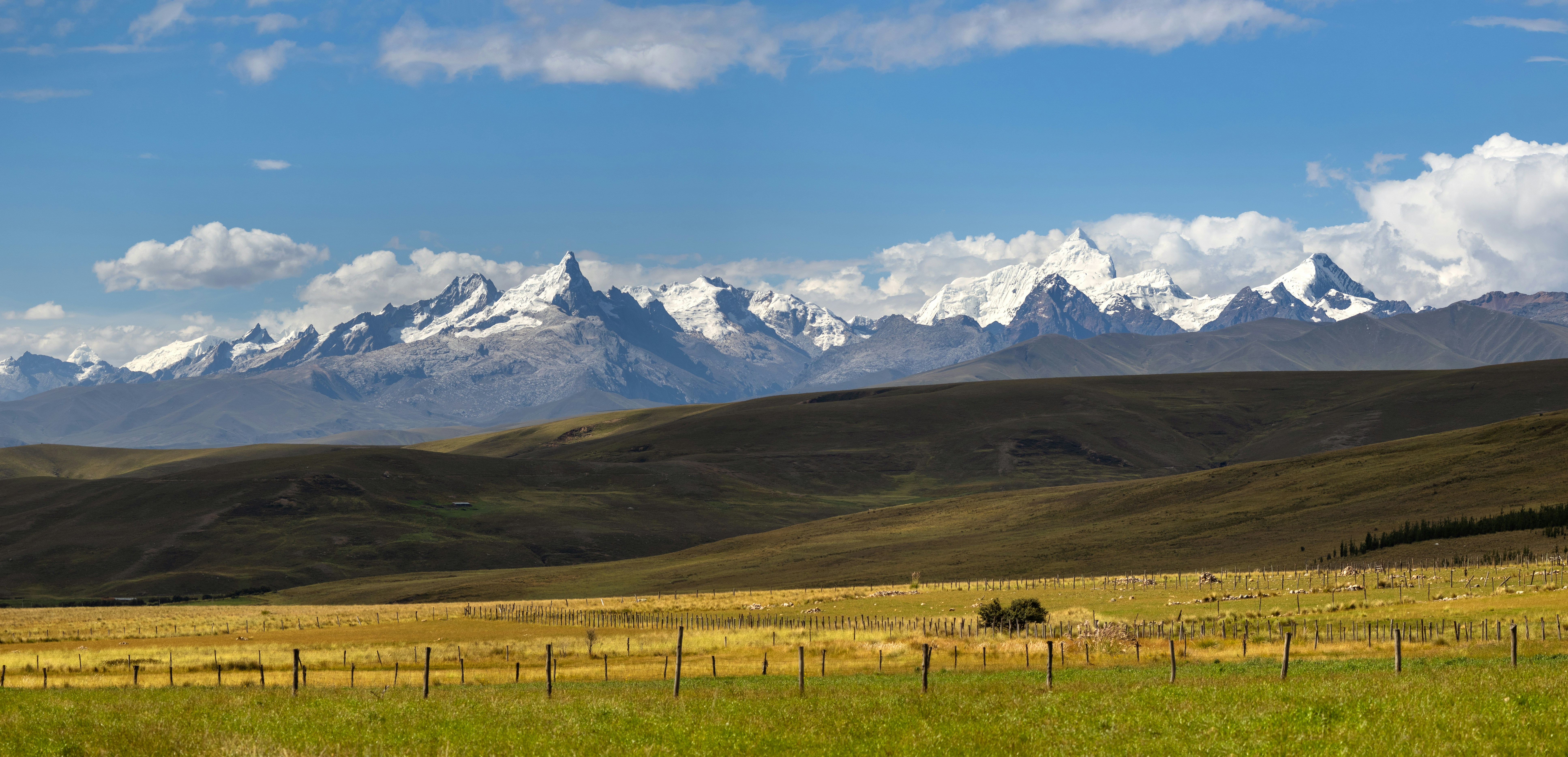 Photo by marekpiwnicki