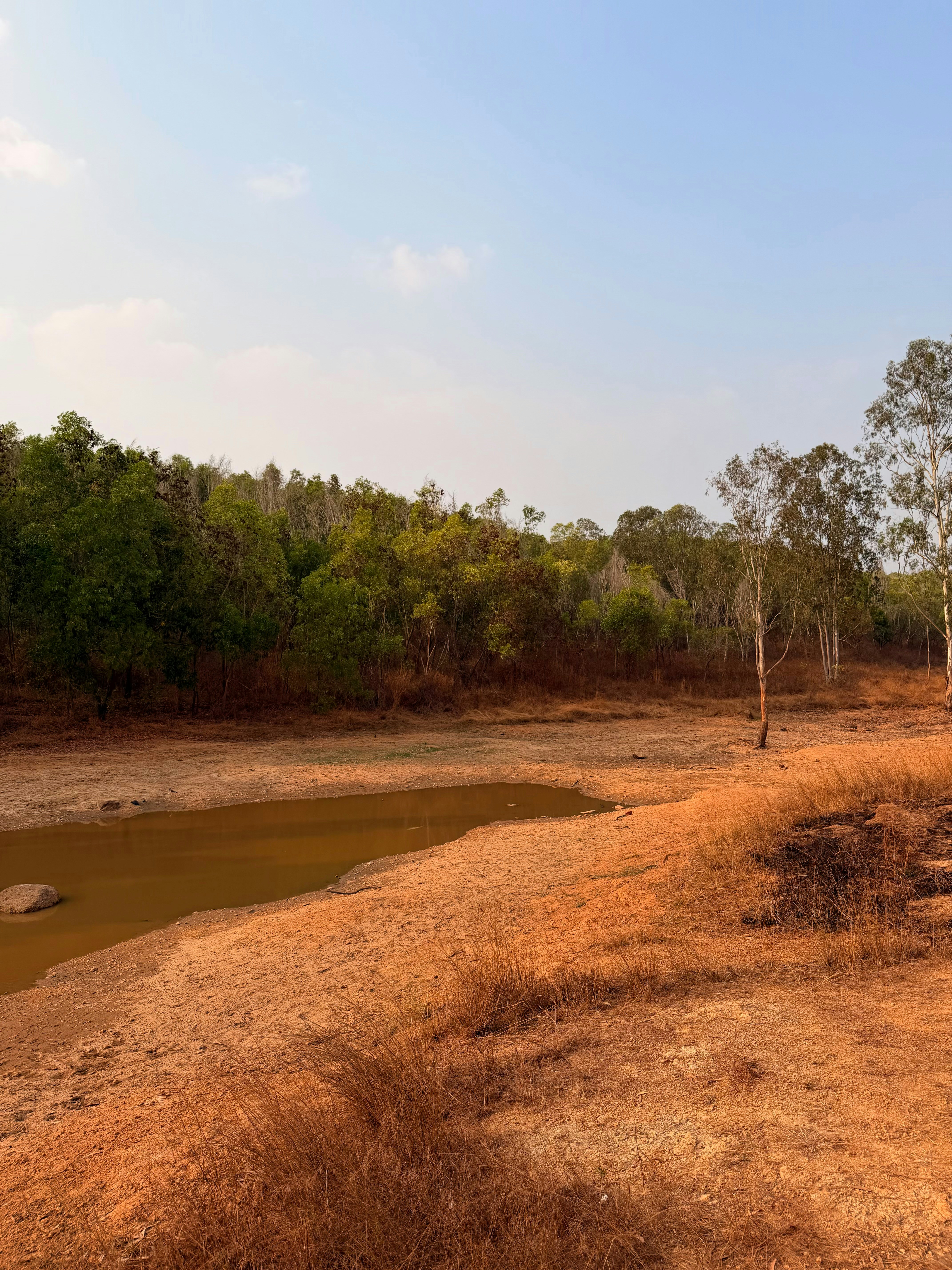 Harsh Khandelwal (@poopyshark) | Unsplash 사진 커뮤니티