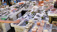 Best Street Food in Naples: What to Eat and Where to Find It