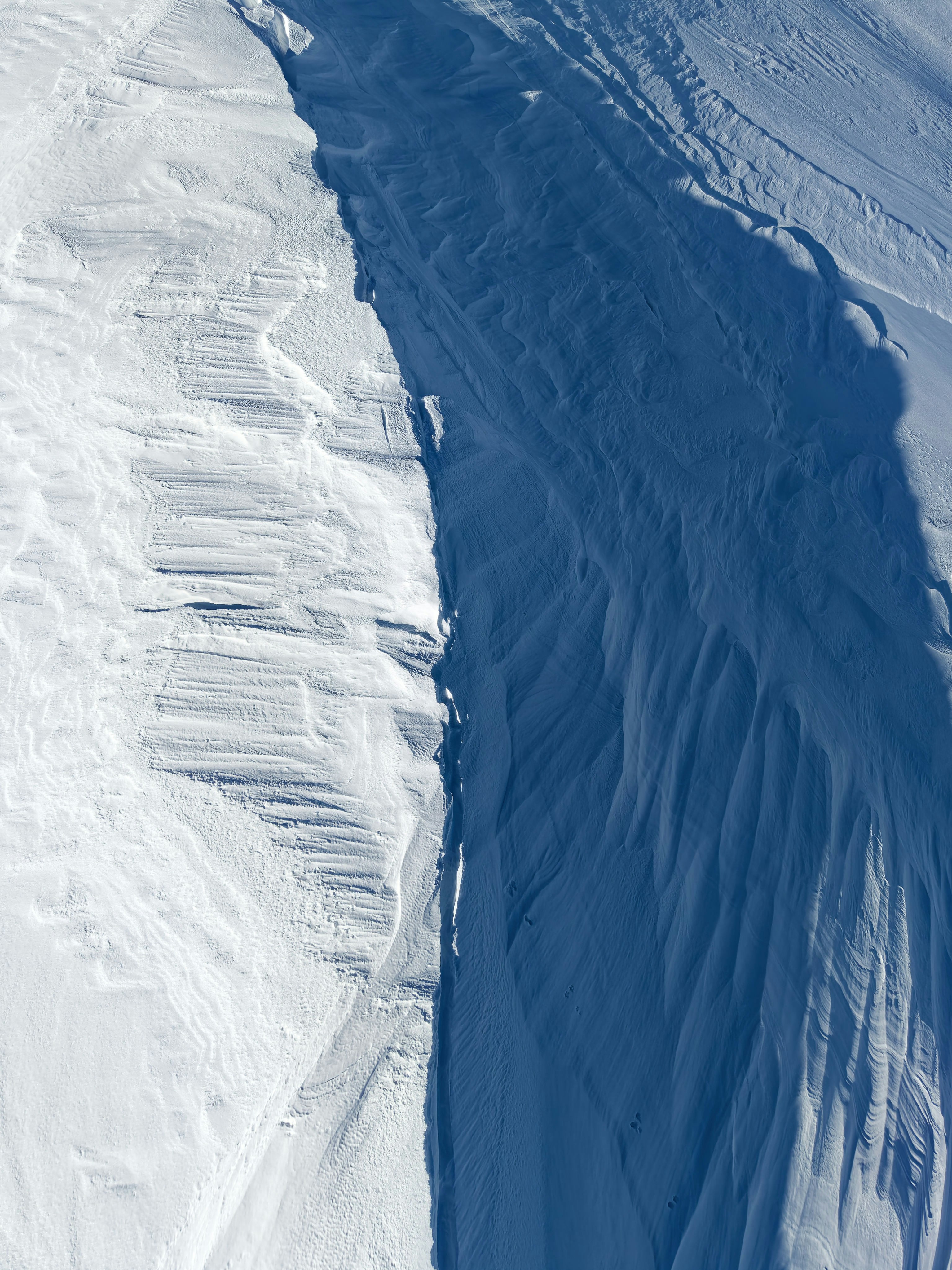 Photo by illes_cristi