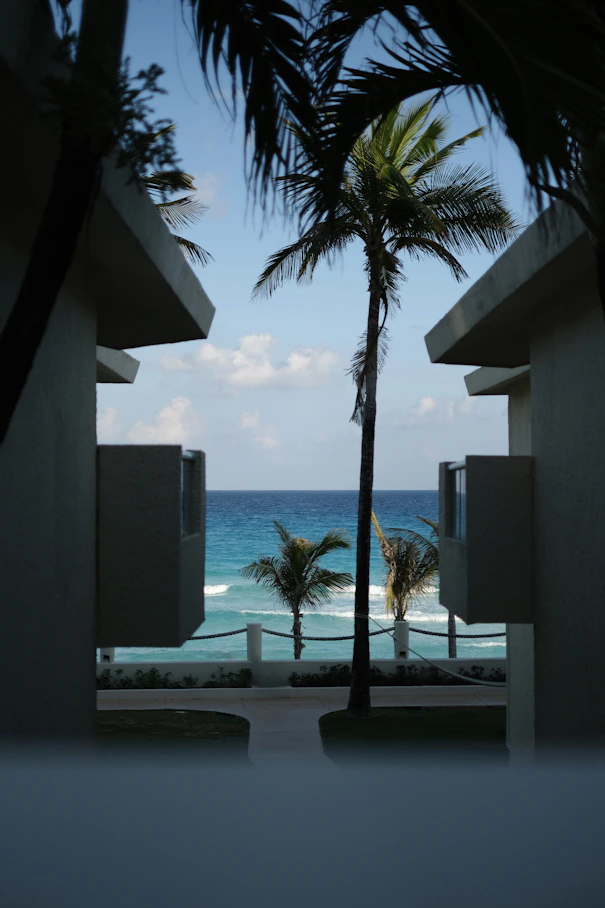 Palm trees and ocean view between buildings