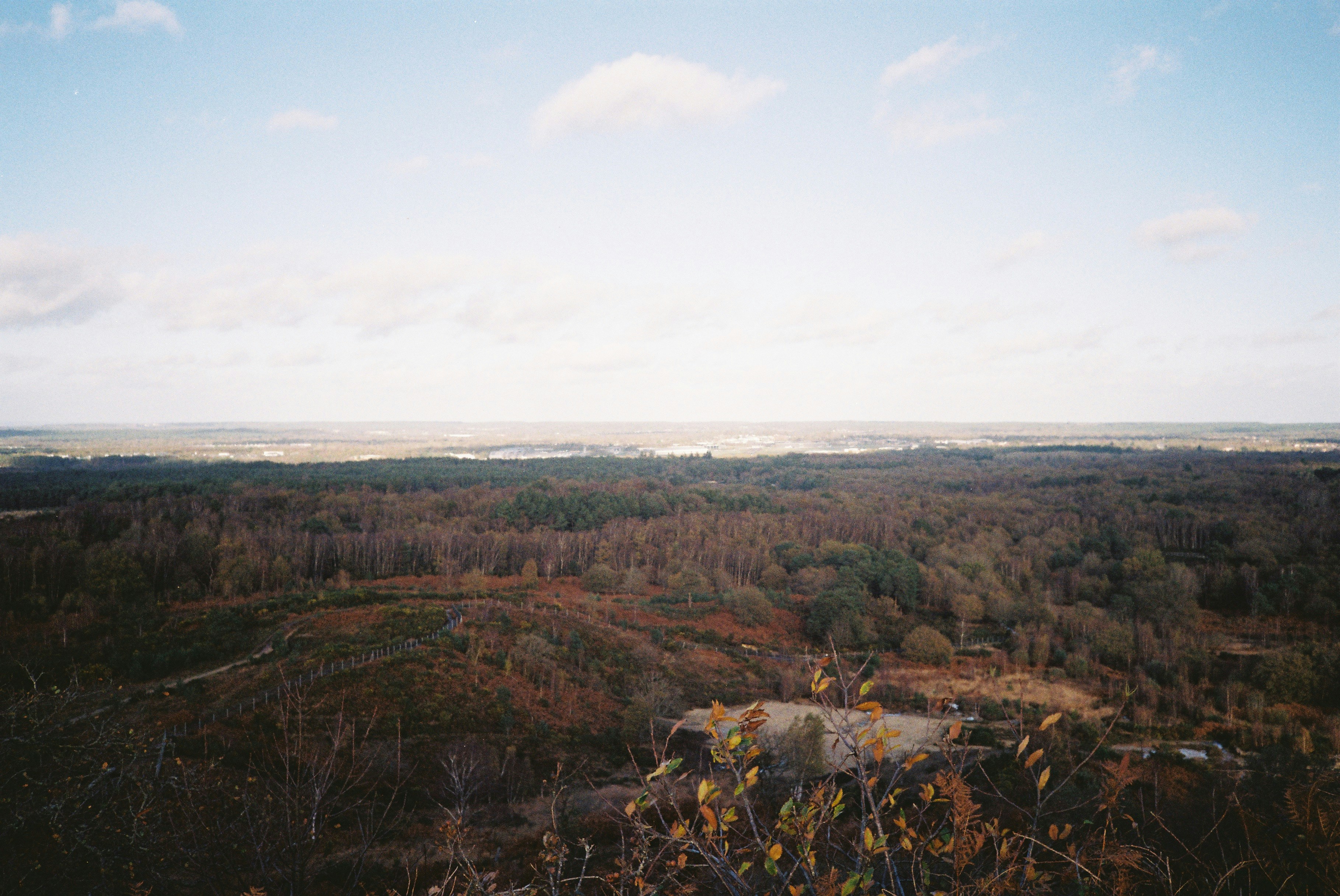 Expansive forest landscape under a cloudy sky 풍경 사진