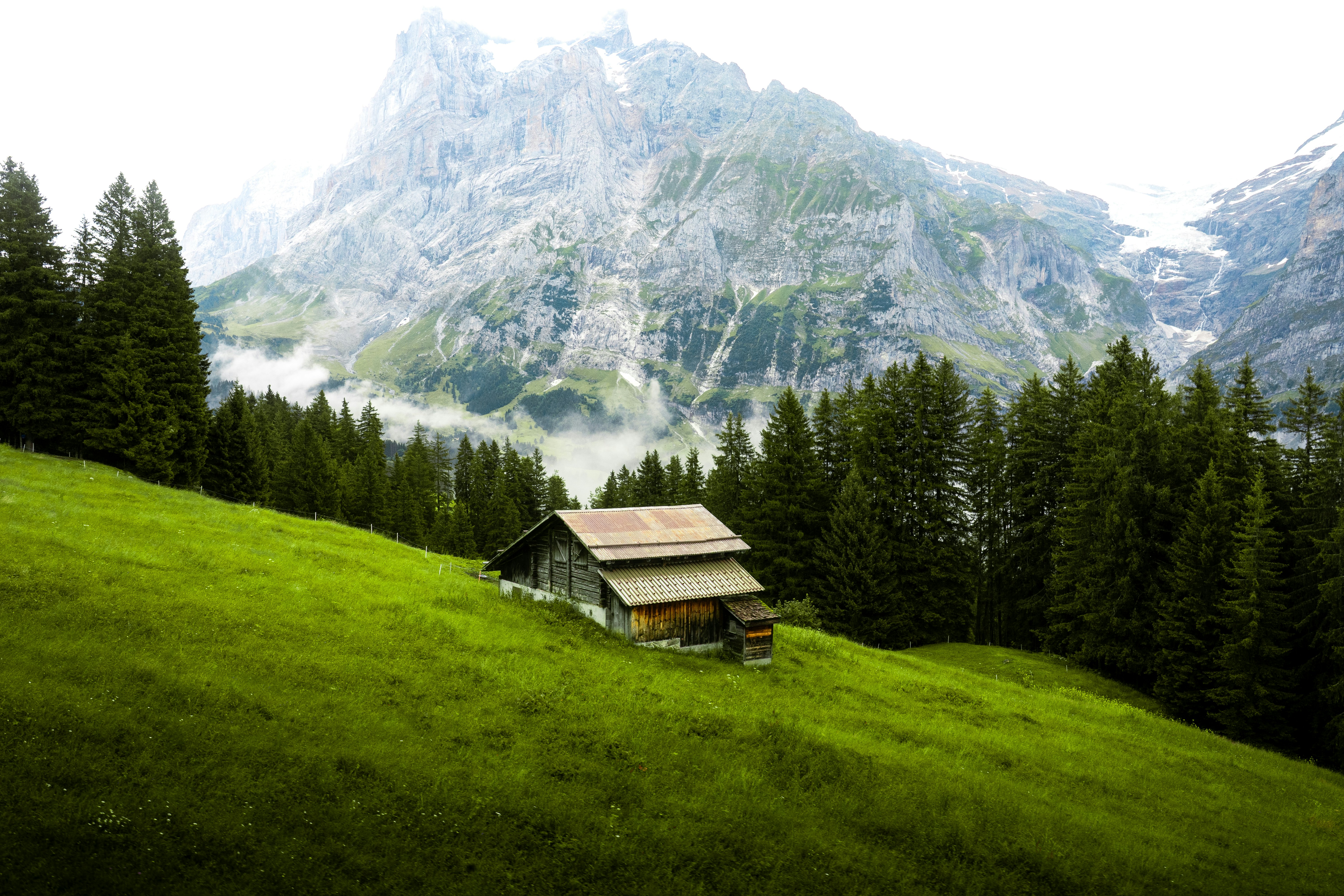 Photo by pavelkeyzik