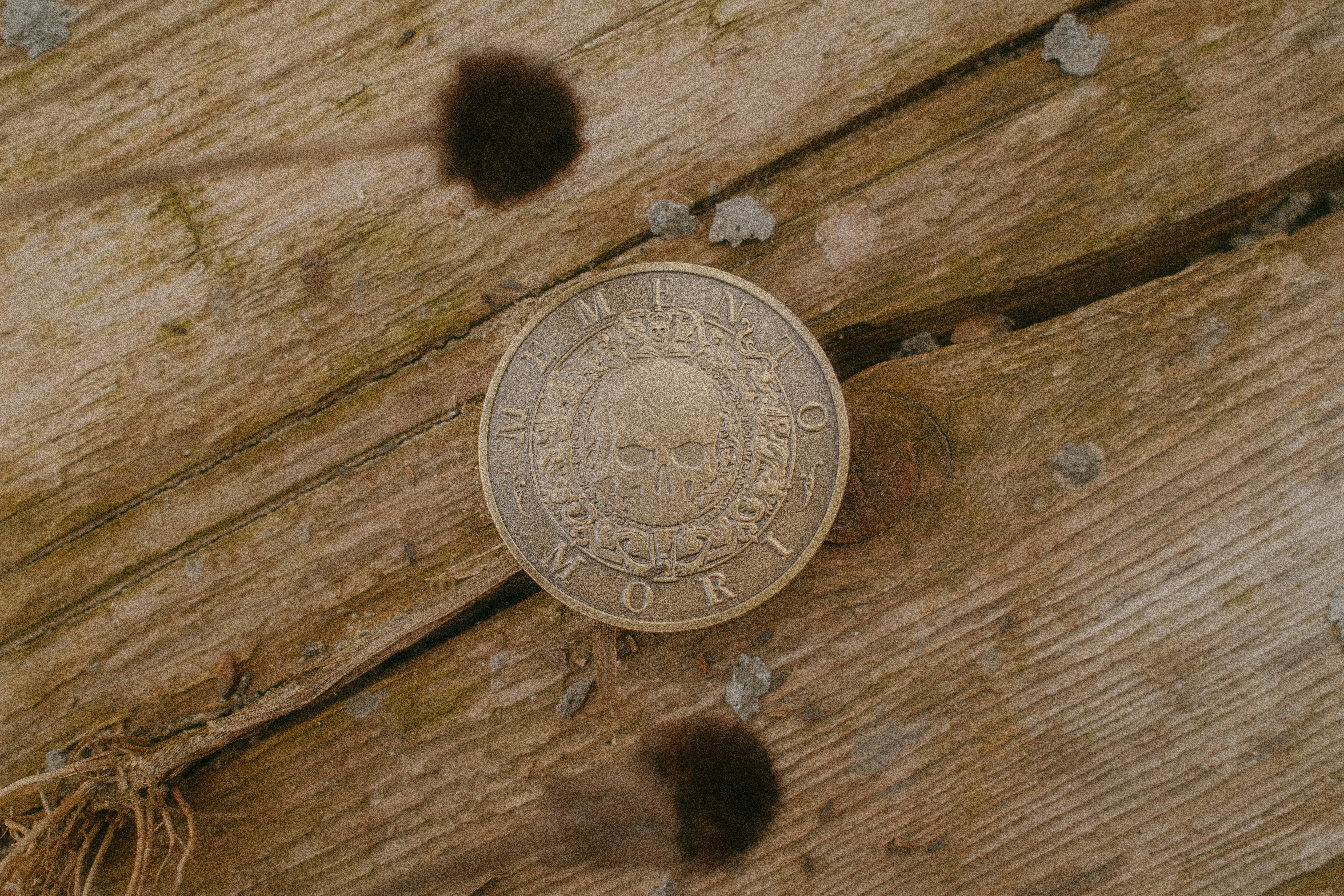 A coin with a skull design on wooden planks