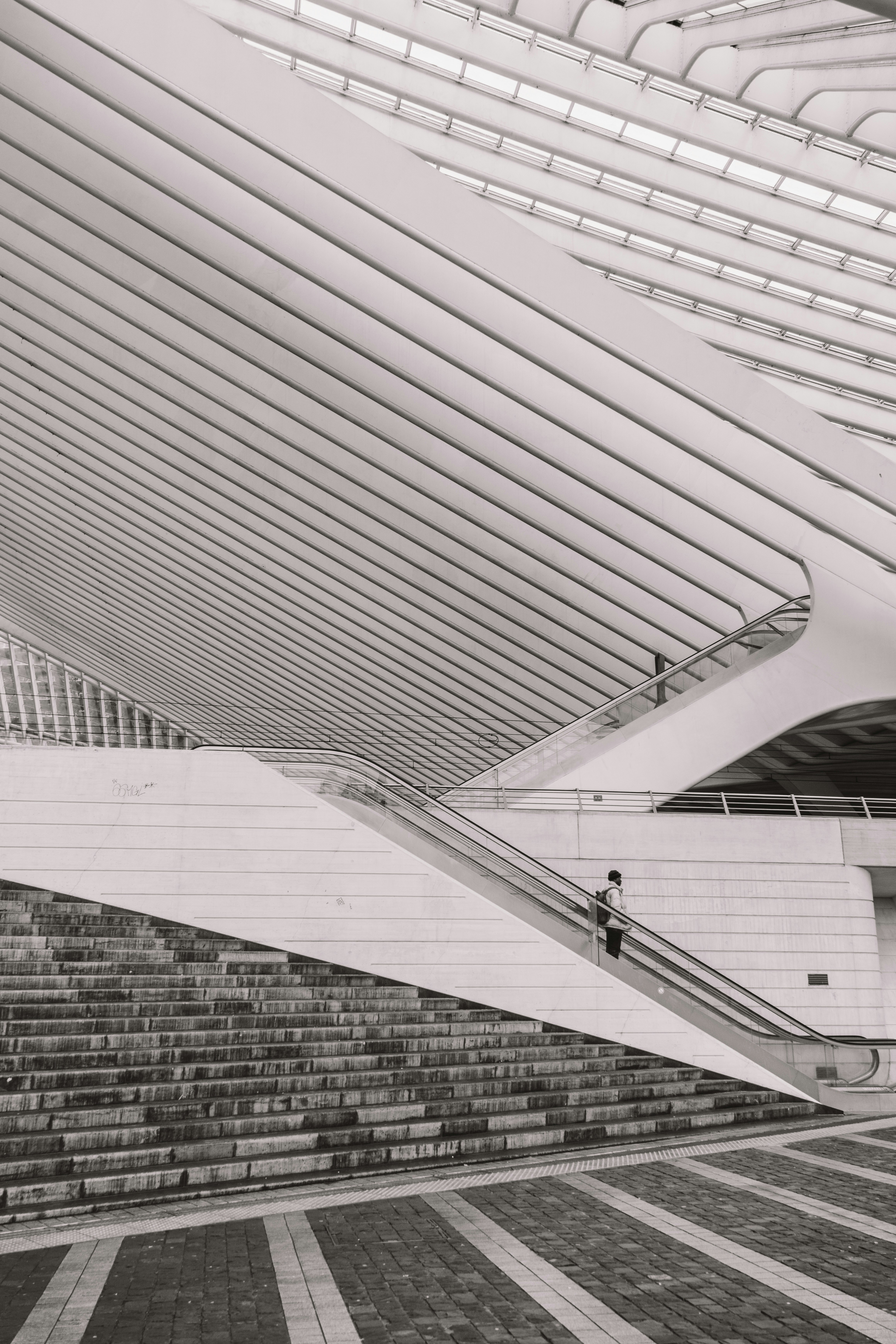 A person ascends an escalator inside a modern building.