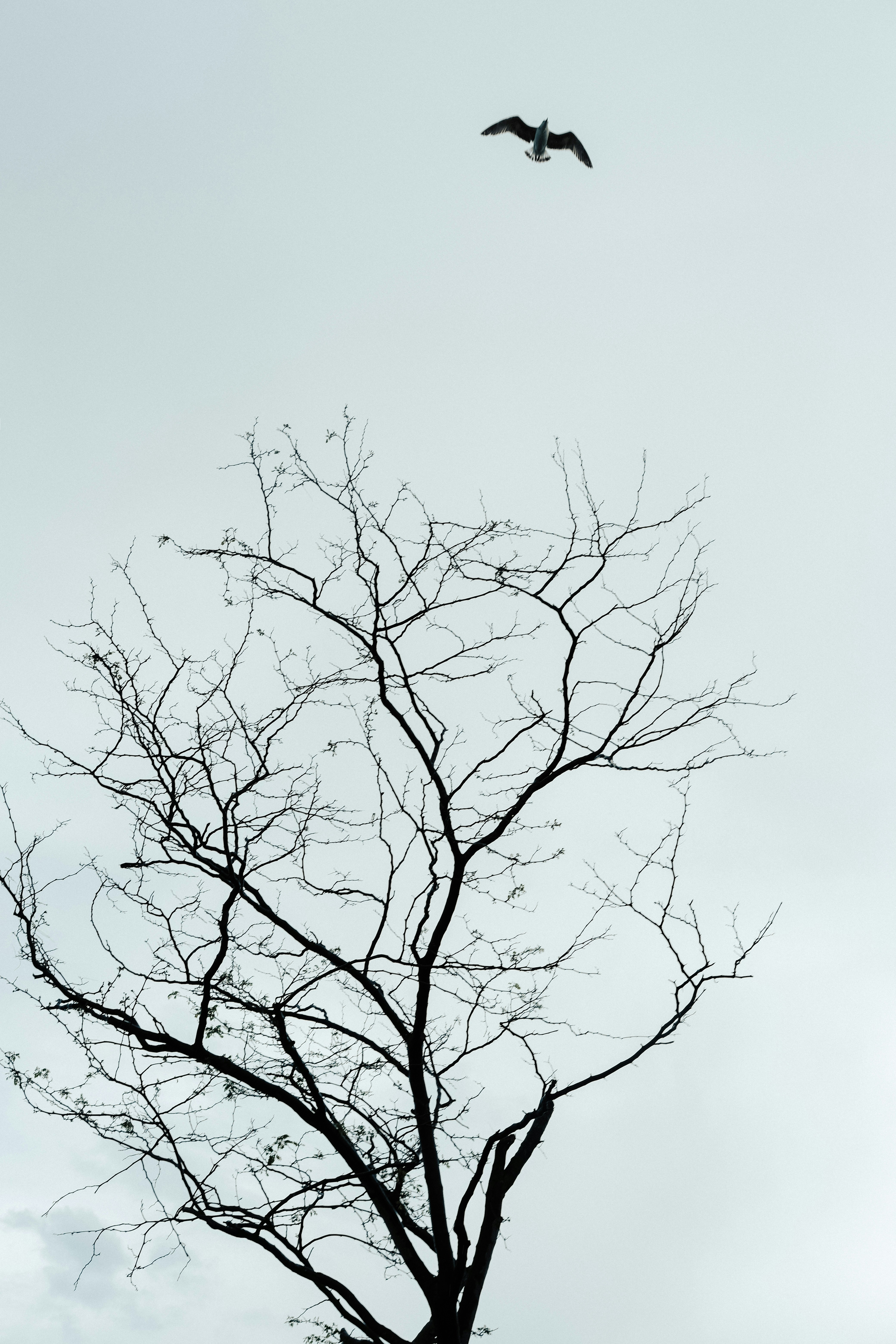 Photo by beyzaayurtkuran