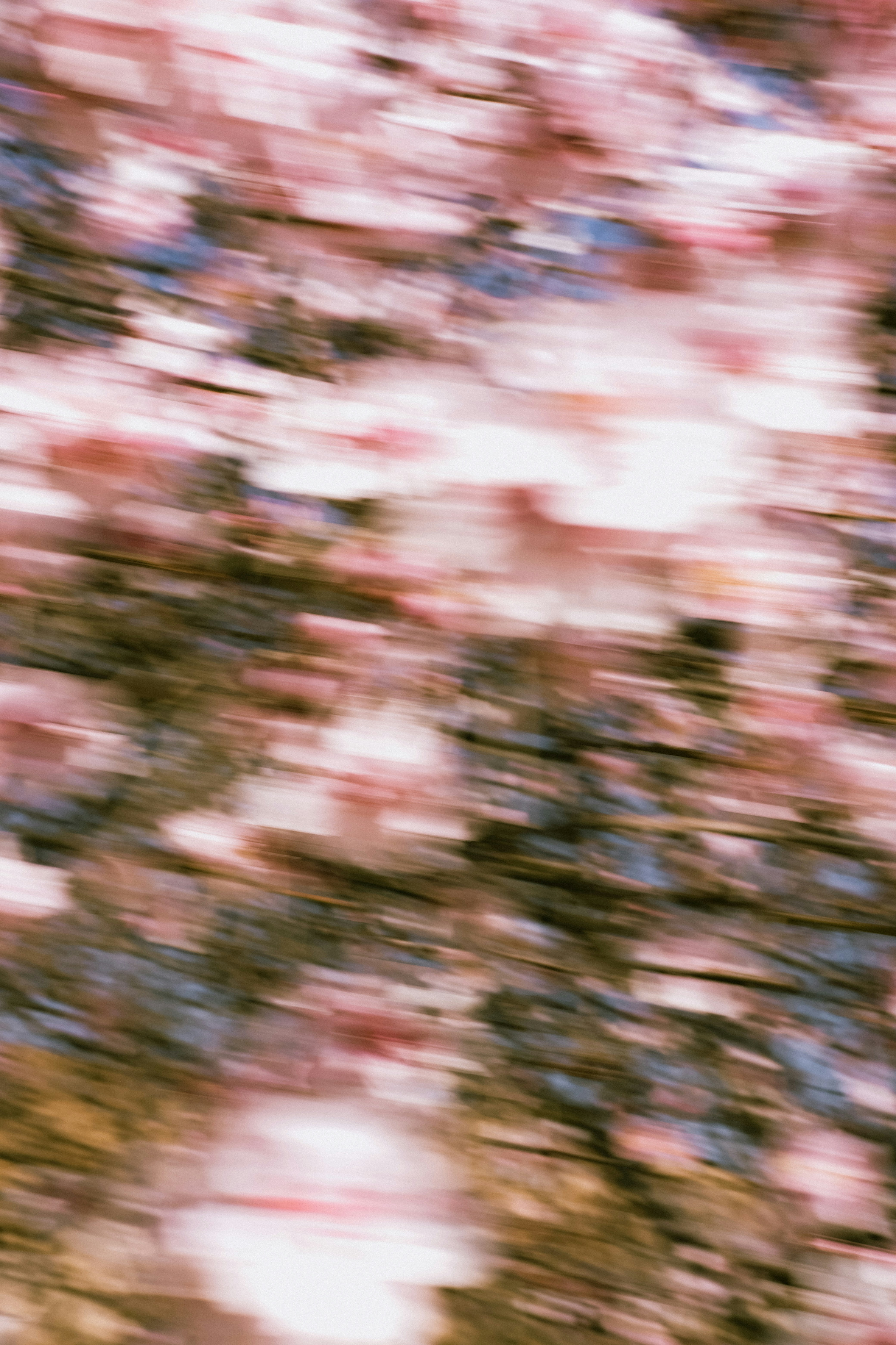 Photo by beyzaayurtkuran