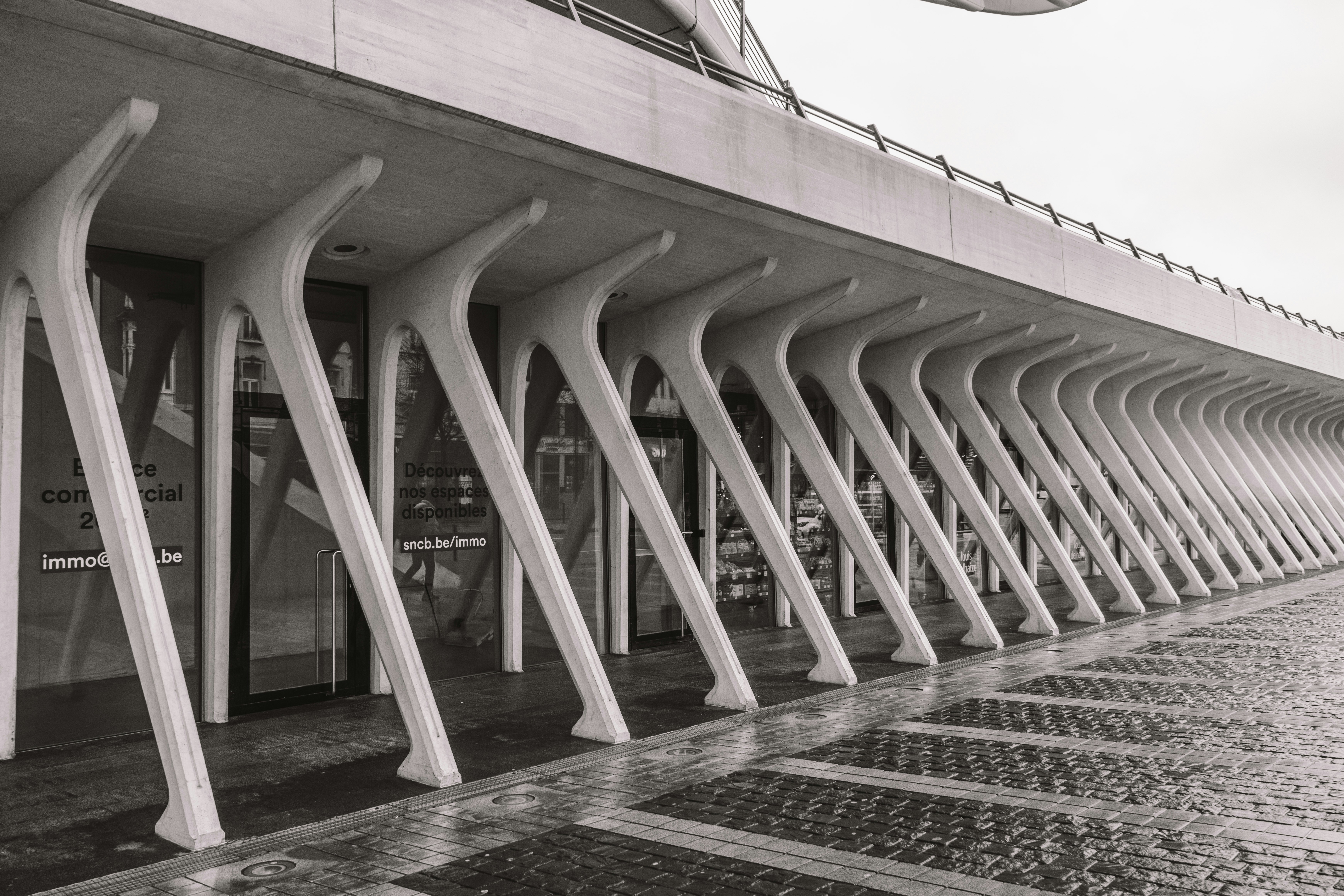 Modern building with repeating white structural supports