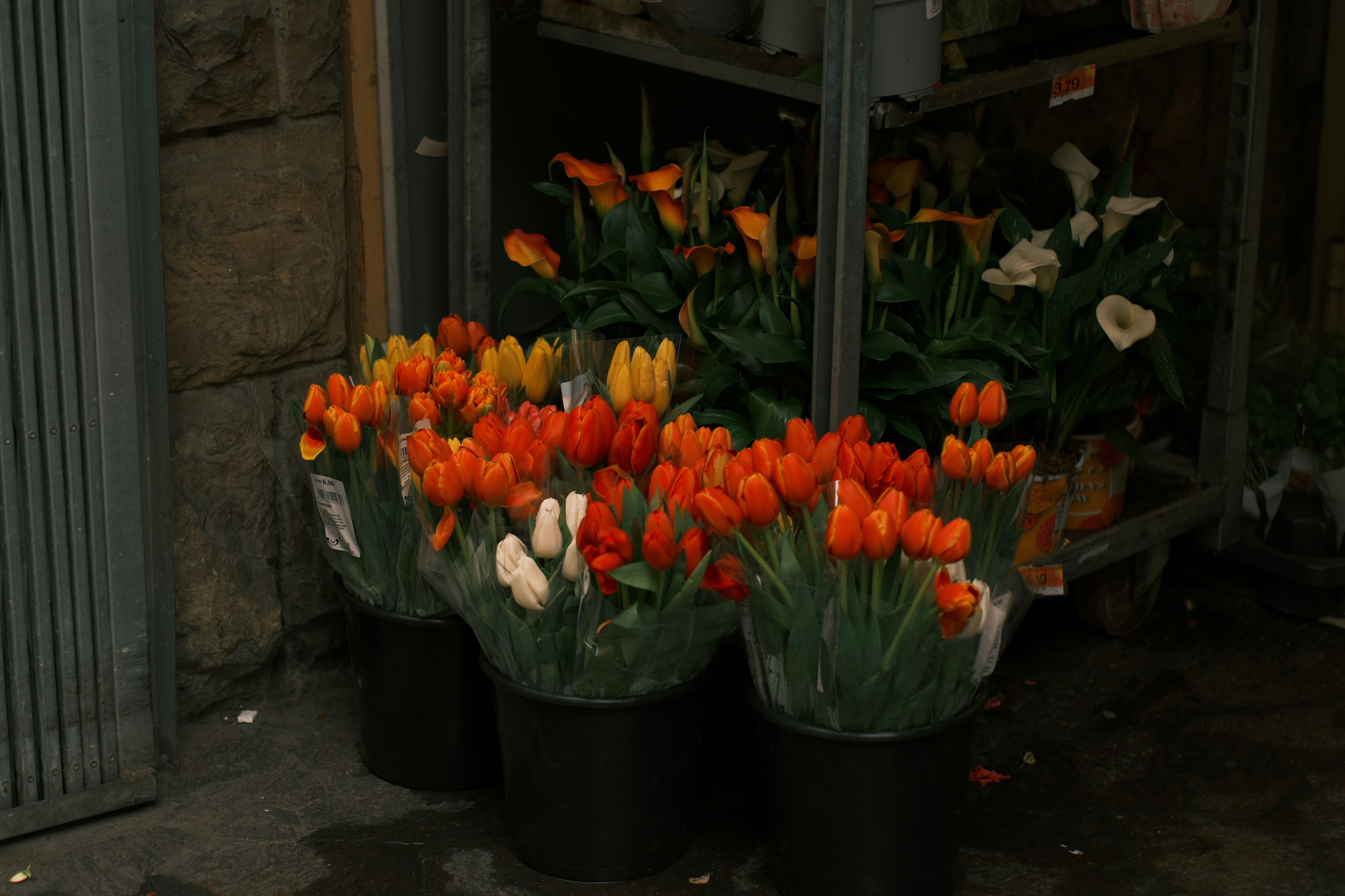 Tulips in buckets at a florist