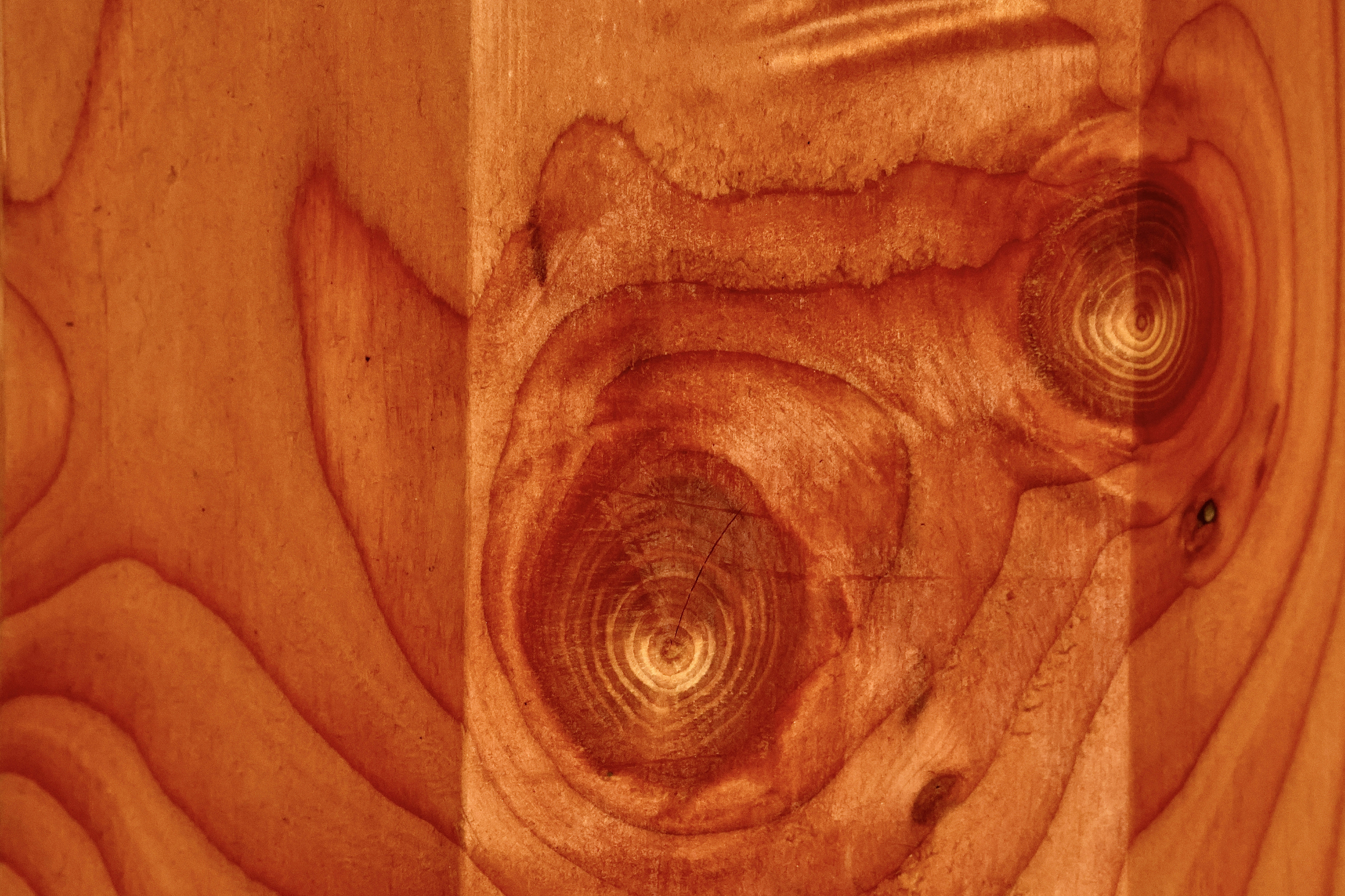 Close-up of rich, warm wood grain texture.