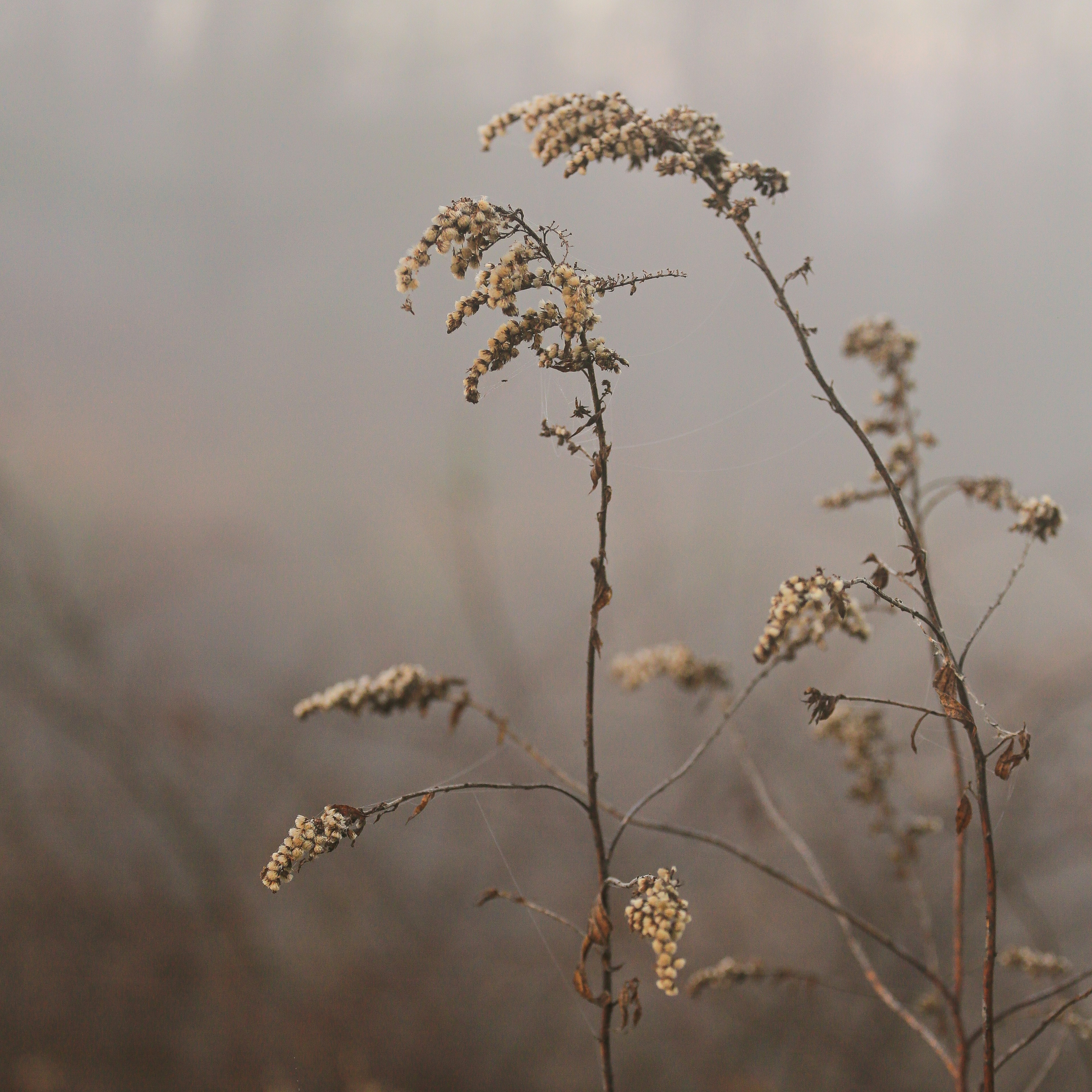 Photo by tina_b_williamsstudio