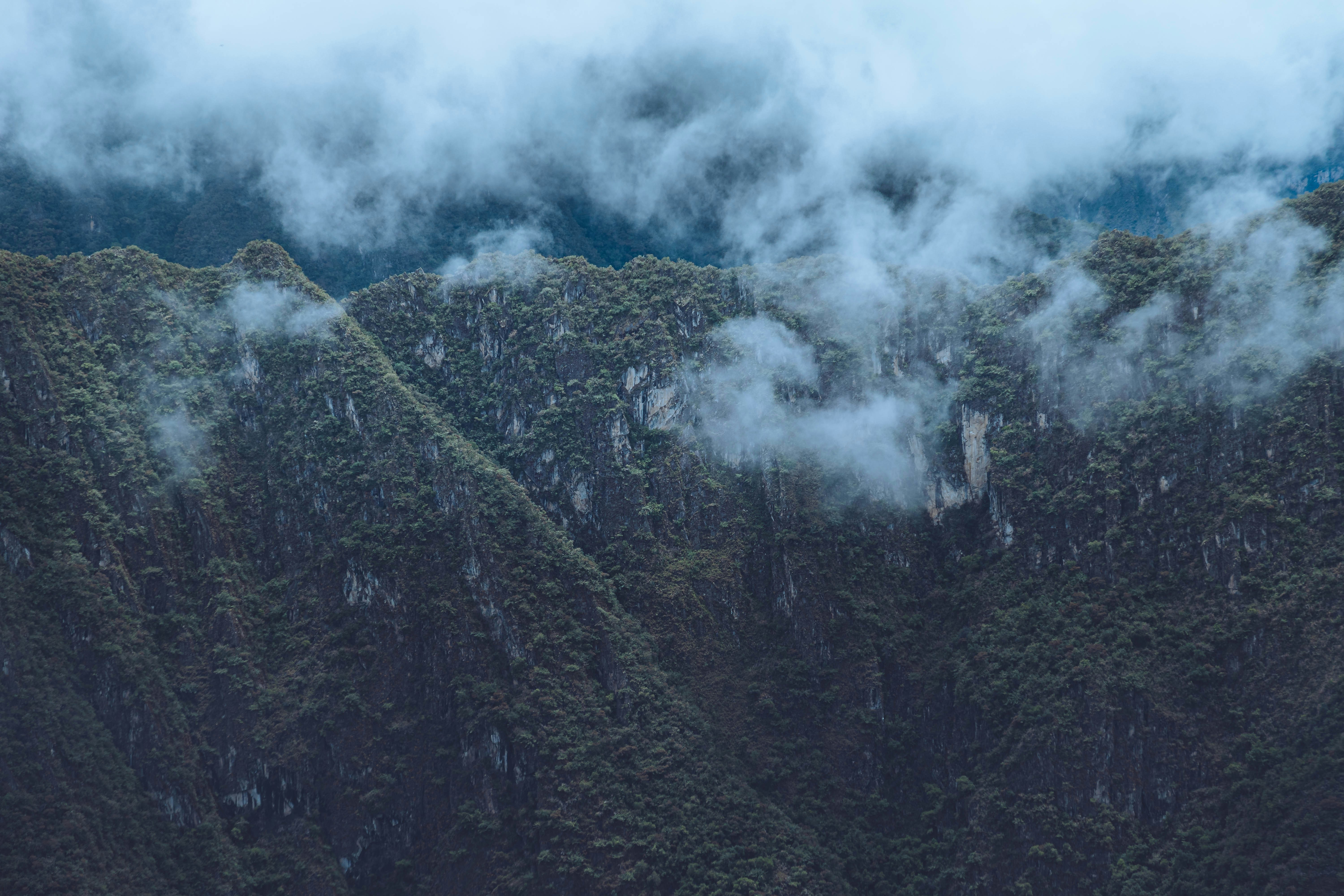 Photo by carbonmonoxide