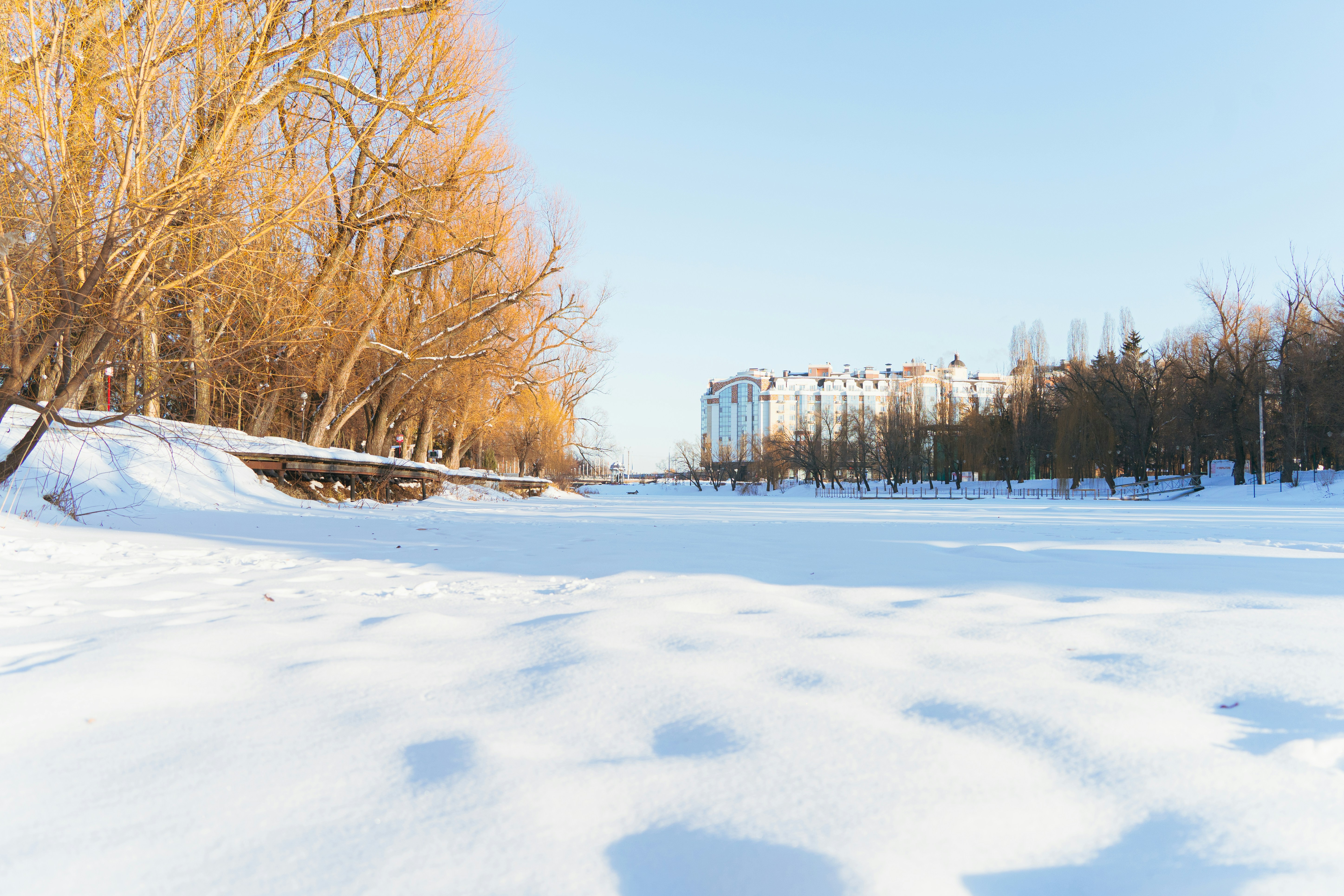 Snowy landscape with bare trees and buildings in distance.