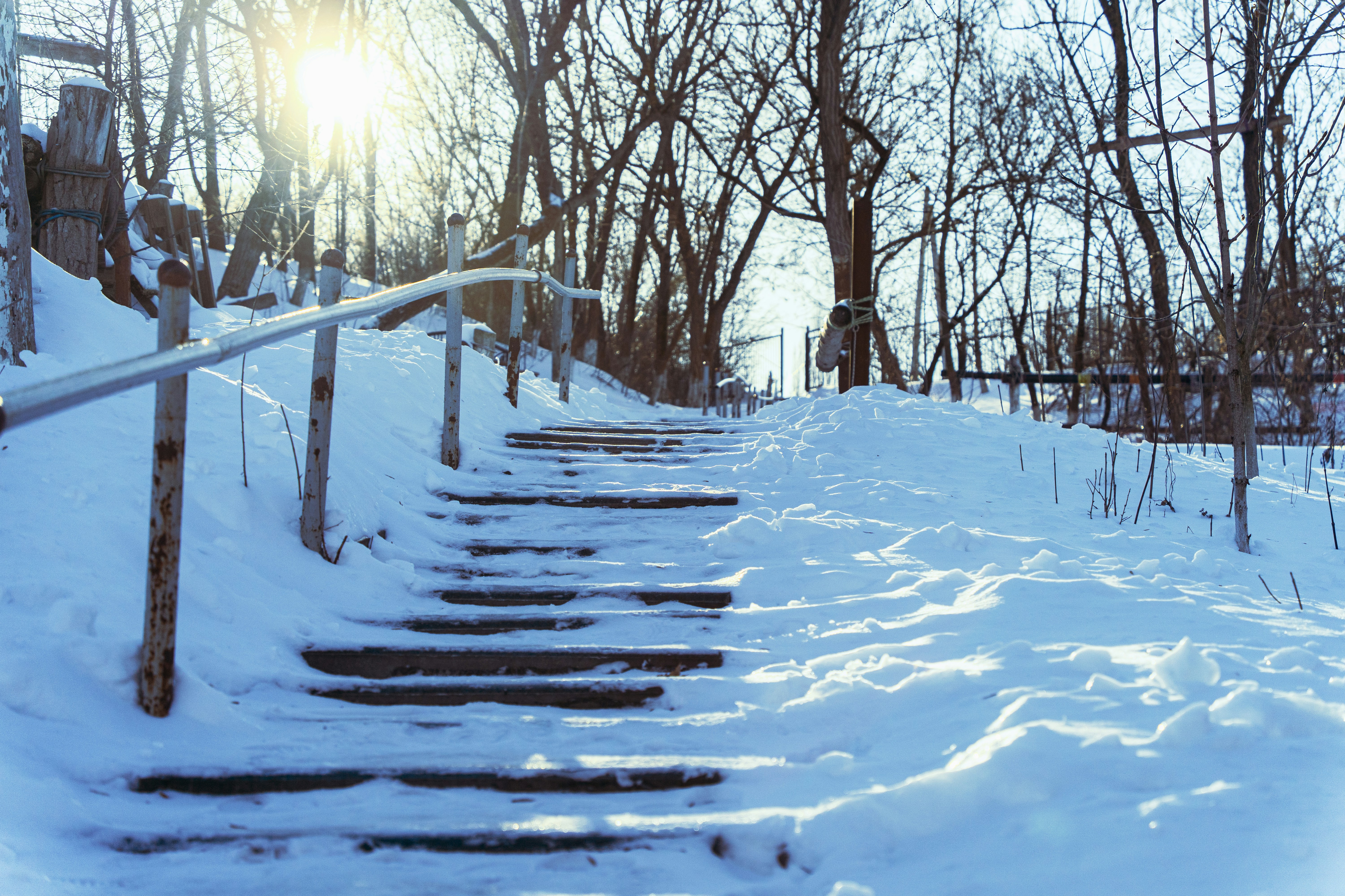 Snow-covered stairs with bare trees and sunlight.