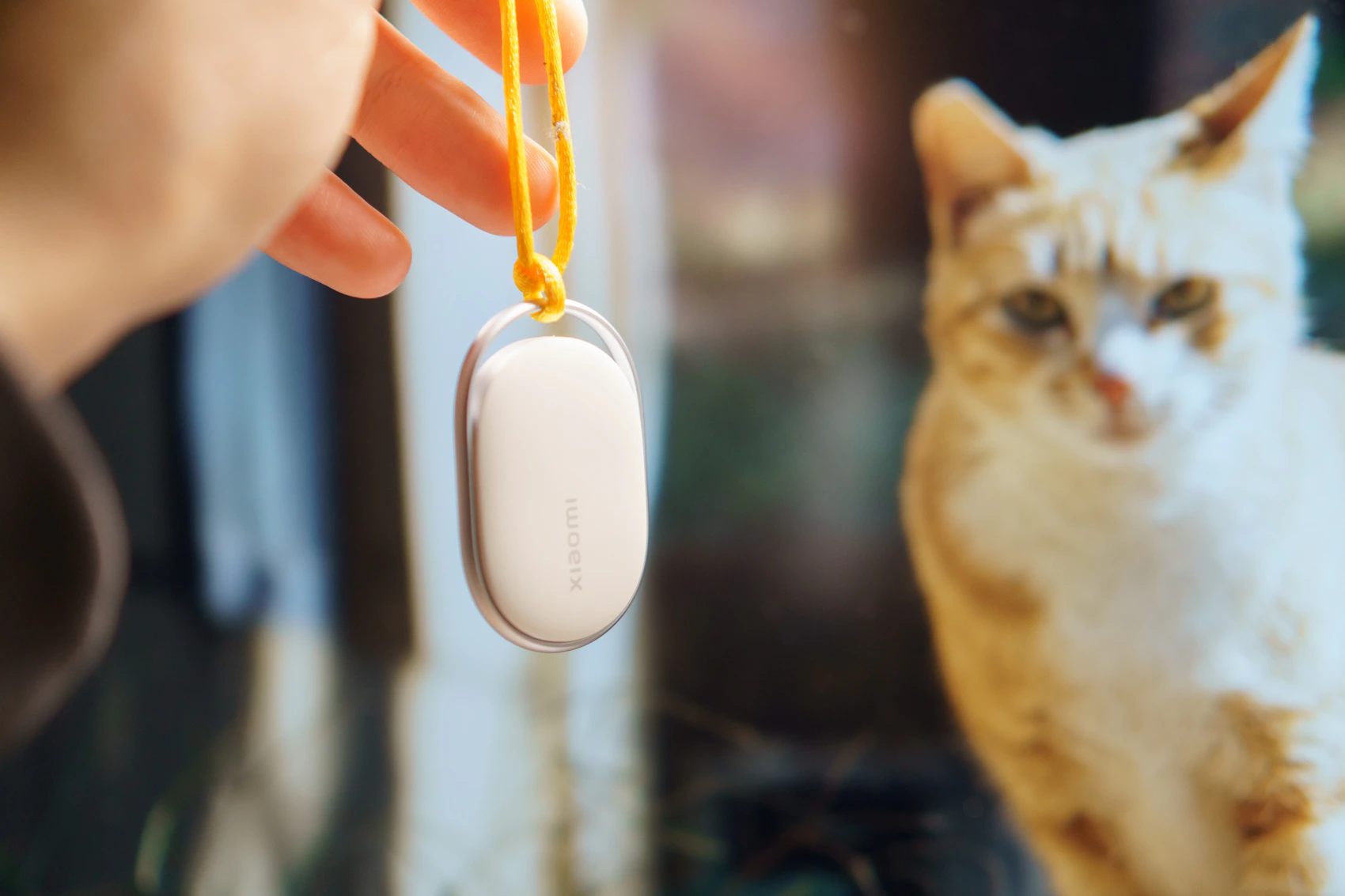 A person holding a smart pet tracker near a cat