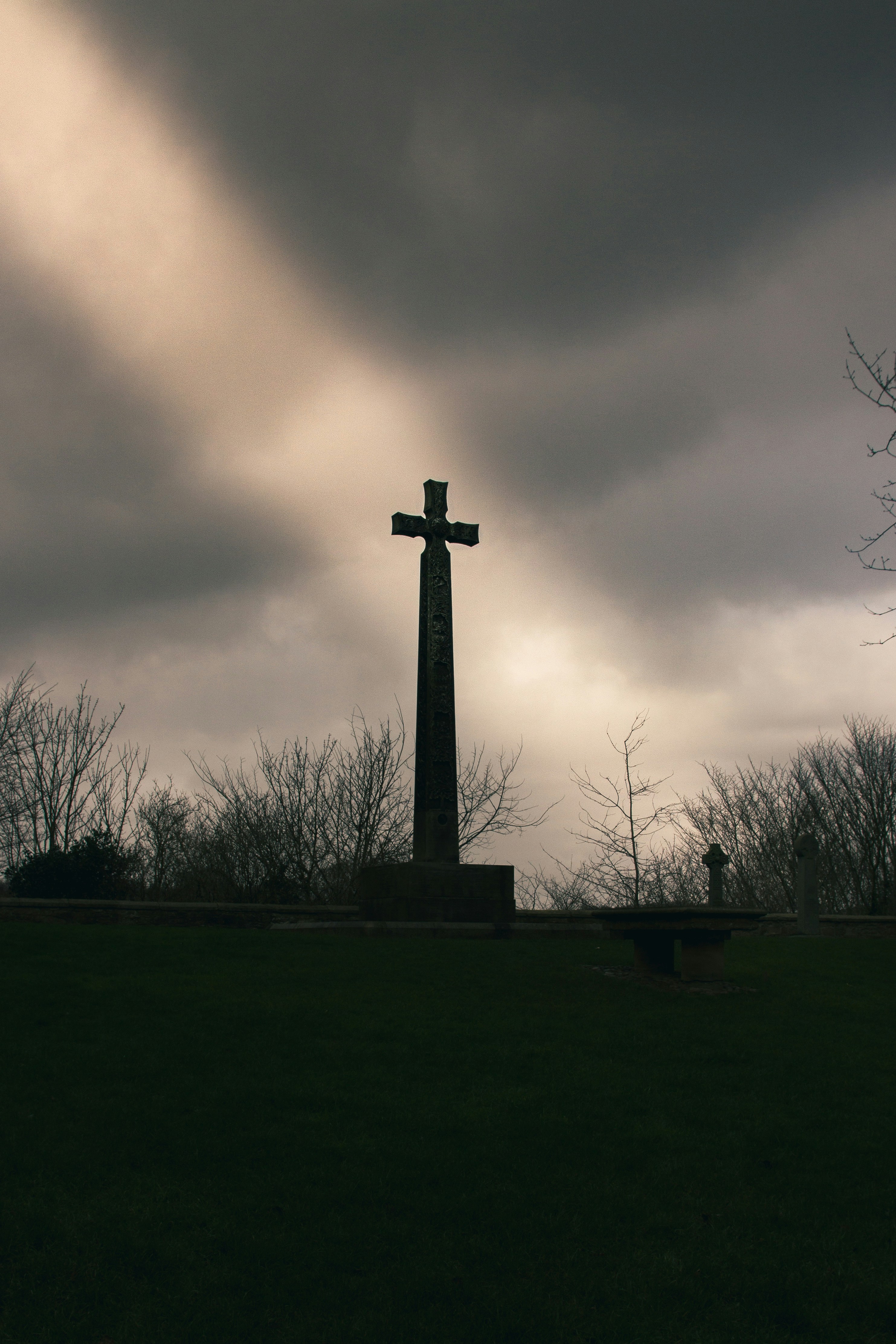 Photo by mlcphotography88