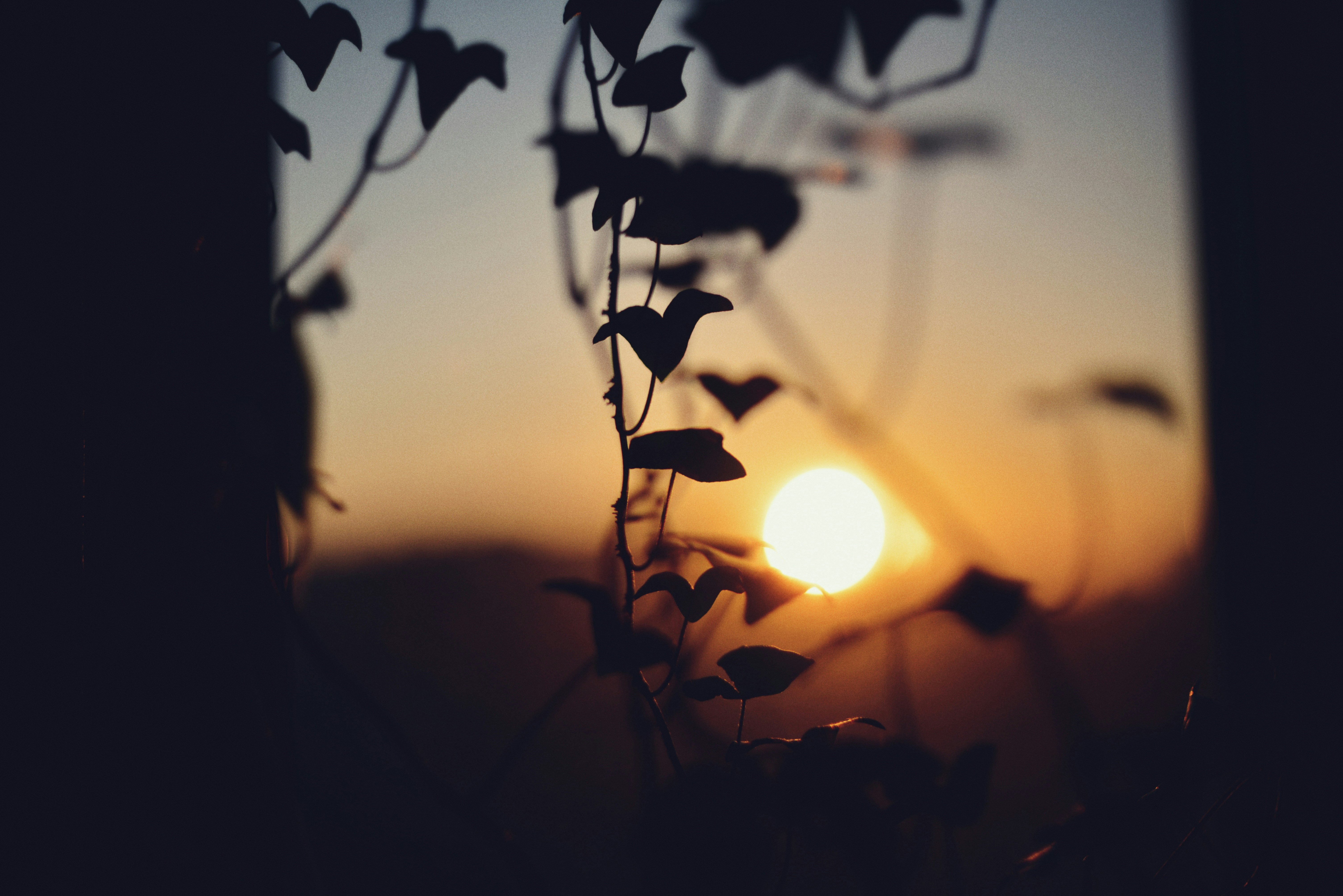 Photo by cherstve_pechivo